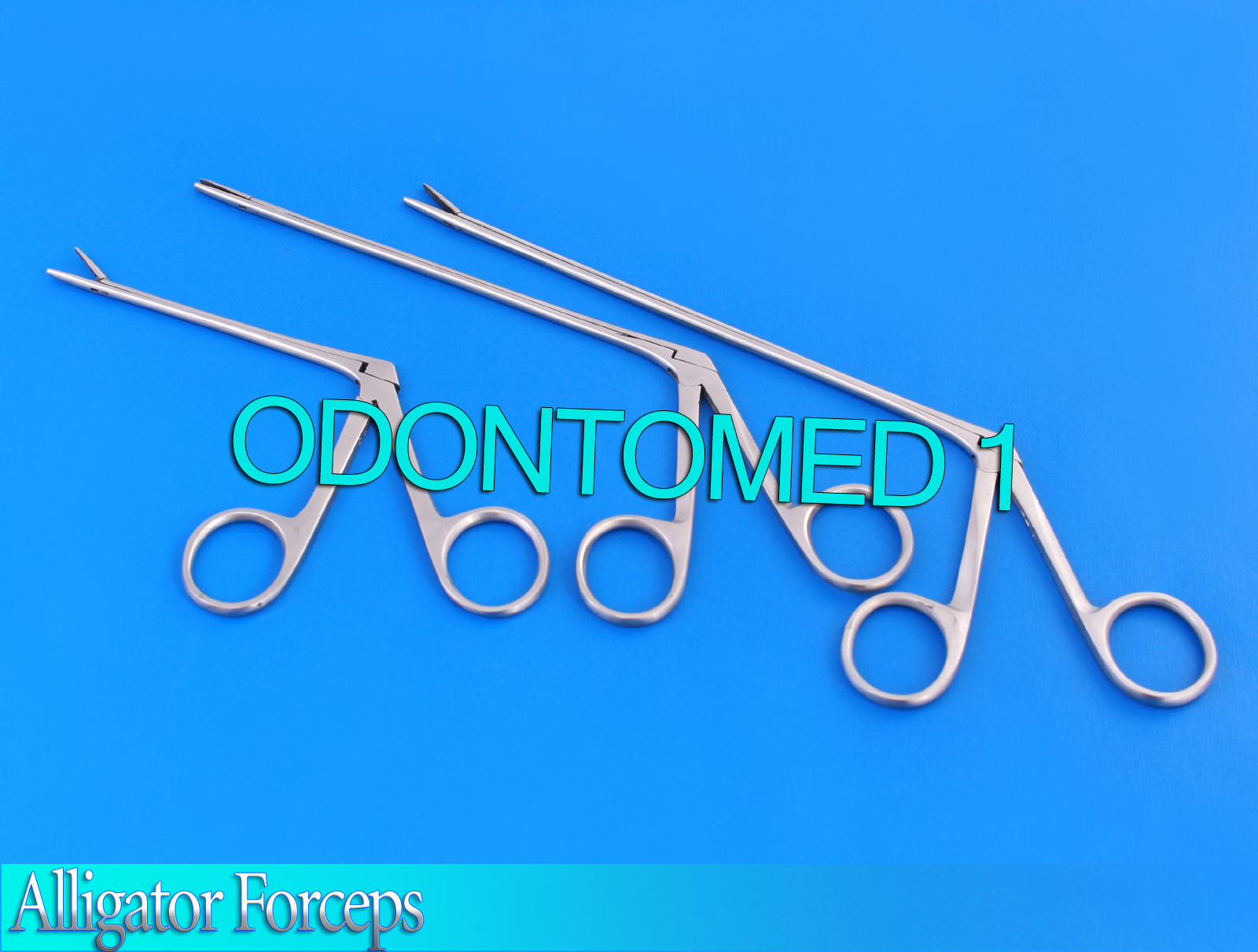 6 ASSORTED ALLIGATOR FORCEPS SURGICAL INSTRUMENTS ENT