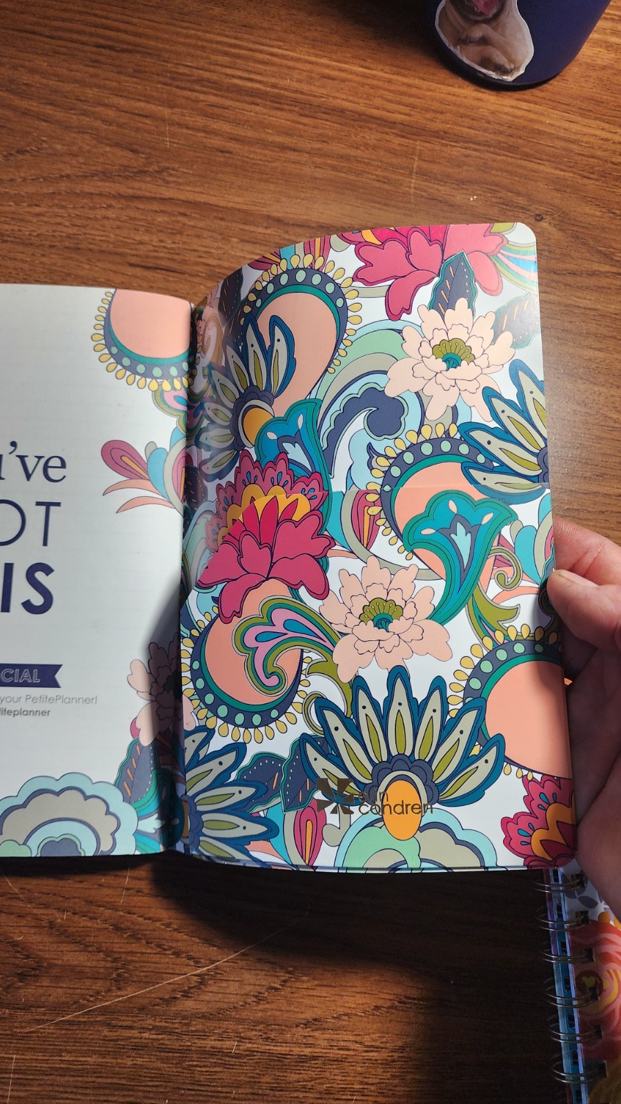 Erin Condren Petite Planner Weekly Intentions + Goals. 5×8″ Pocket Size NEW