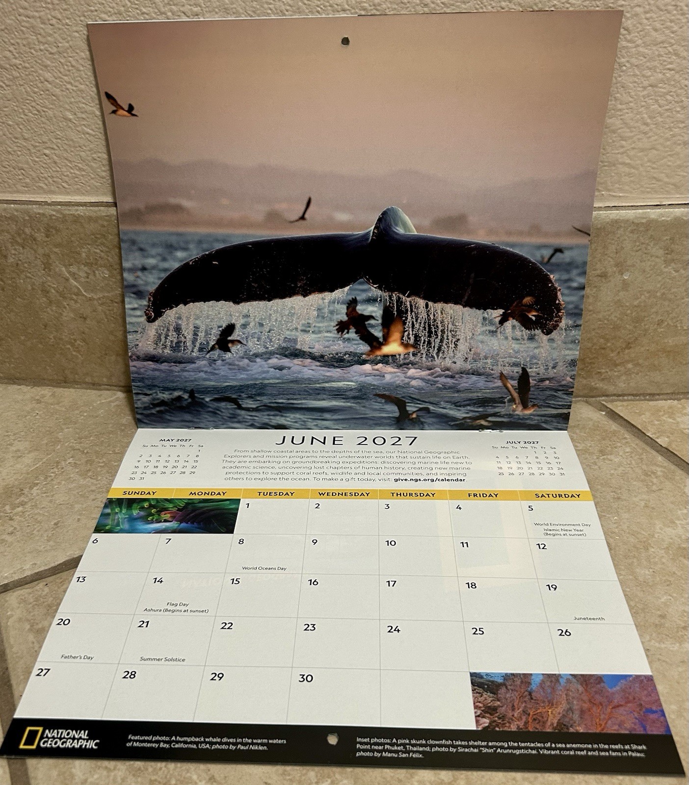 National Geographic Society 2027 Wall Calendar~Scenic Photos~10 x 8.5