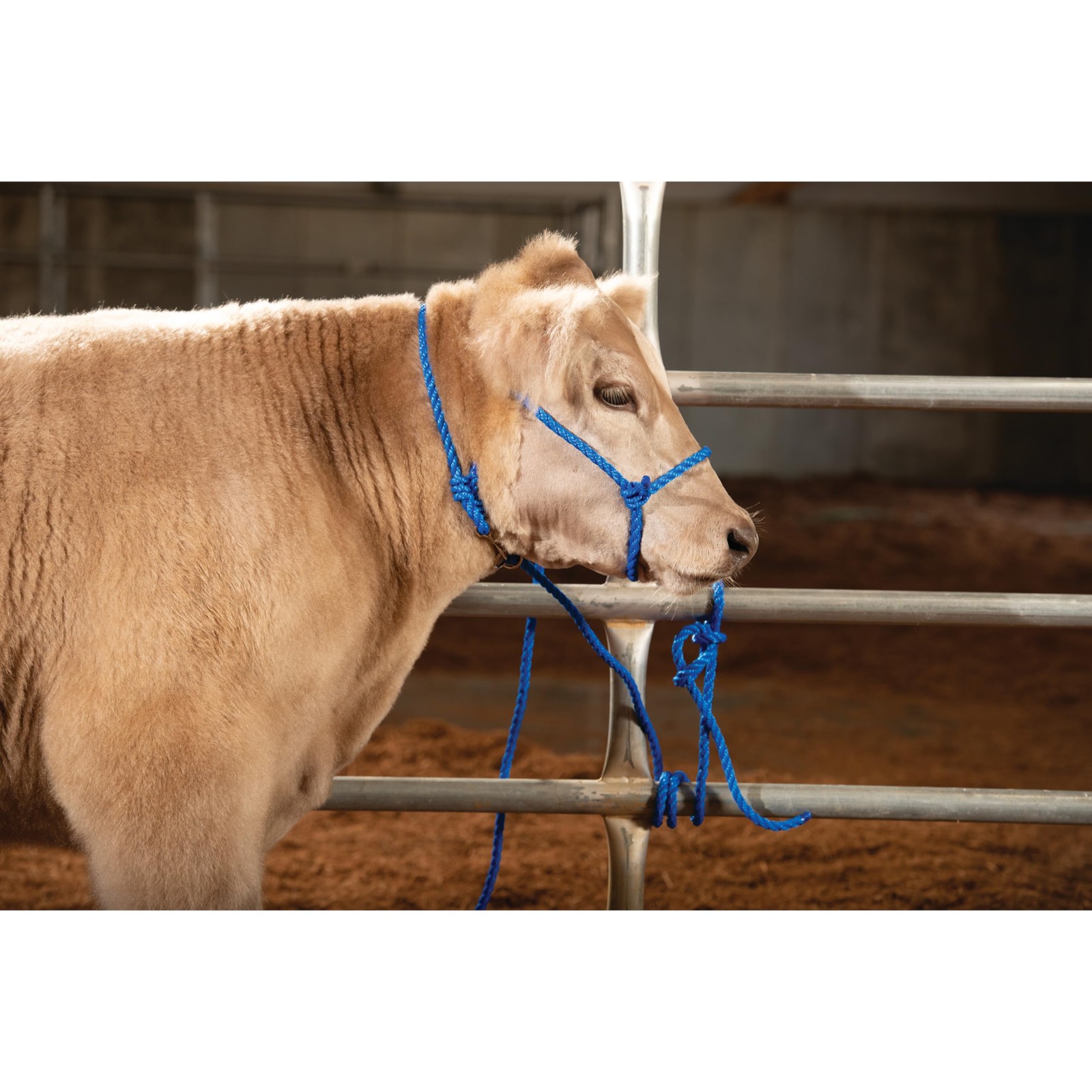 Adjustable Poly Neck Rope for Livestock Durable and Versatile Tool