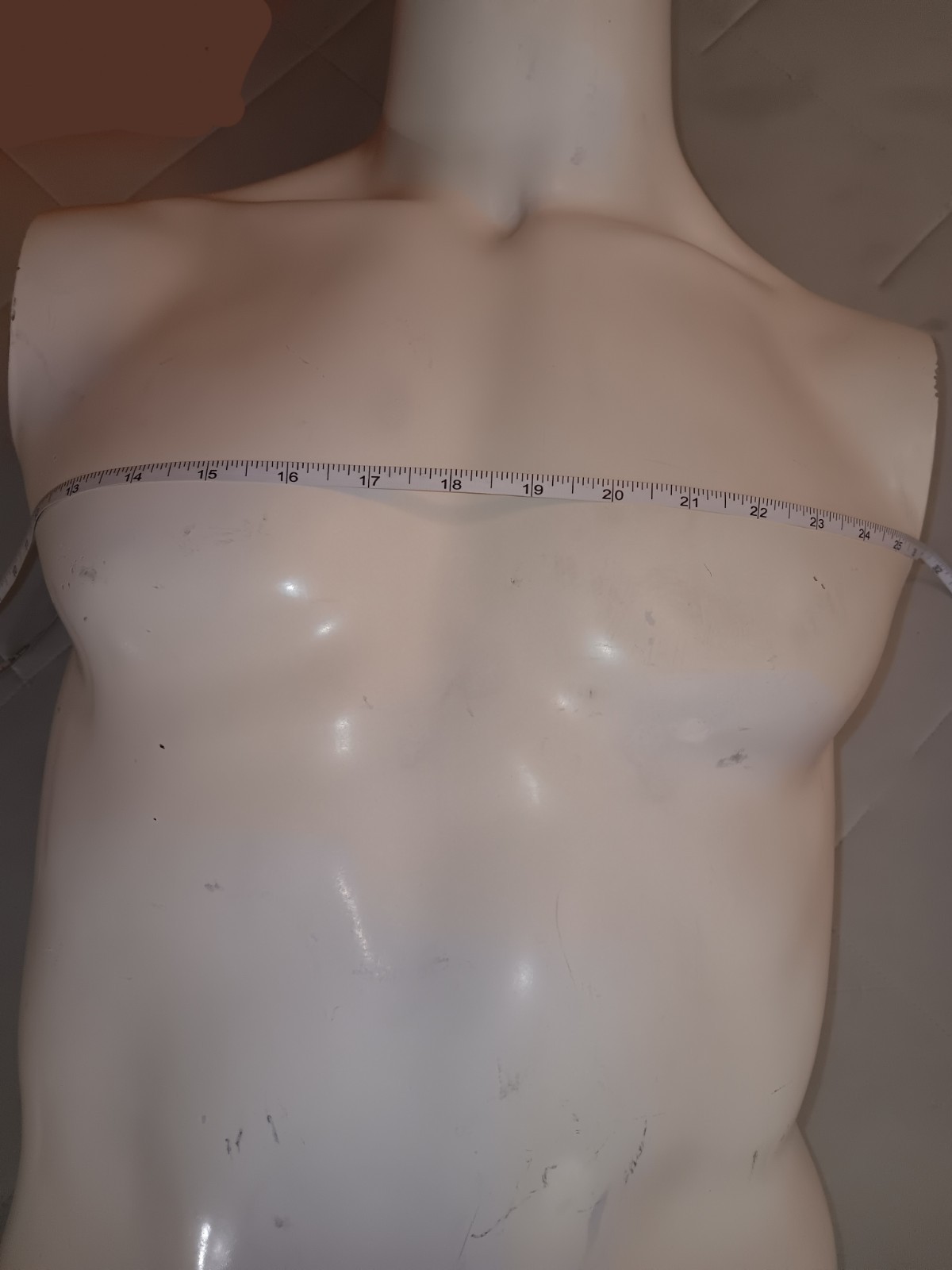Male Egghead Torso Mannequin – Armless Display Form – Mannequin Like Display