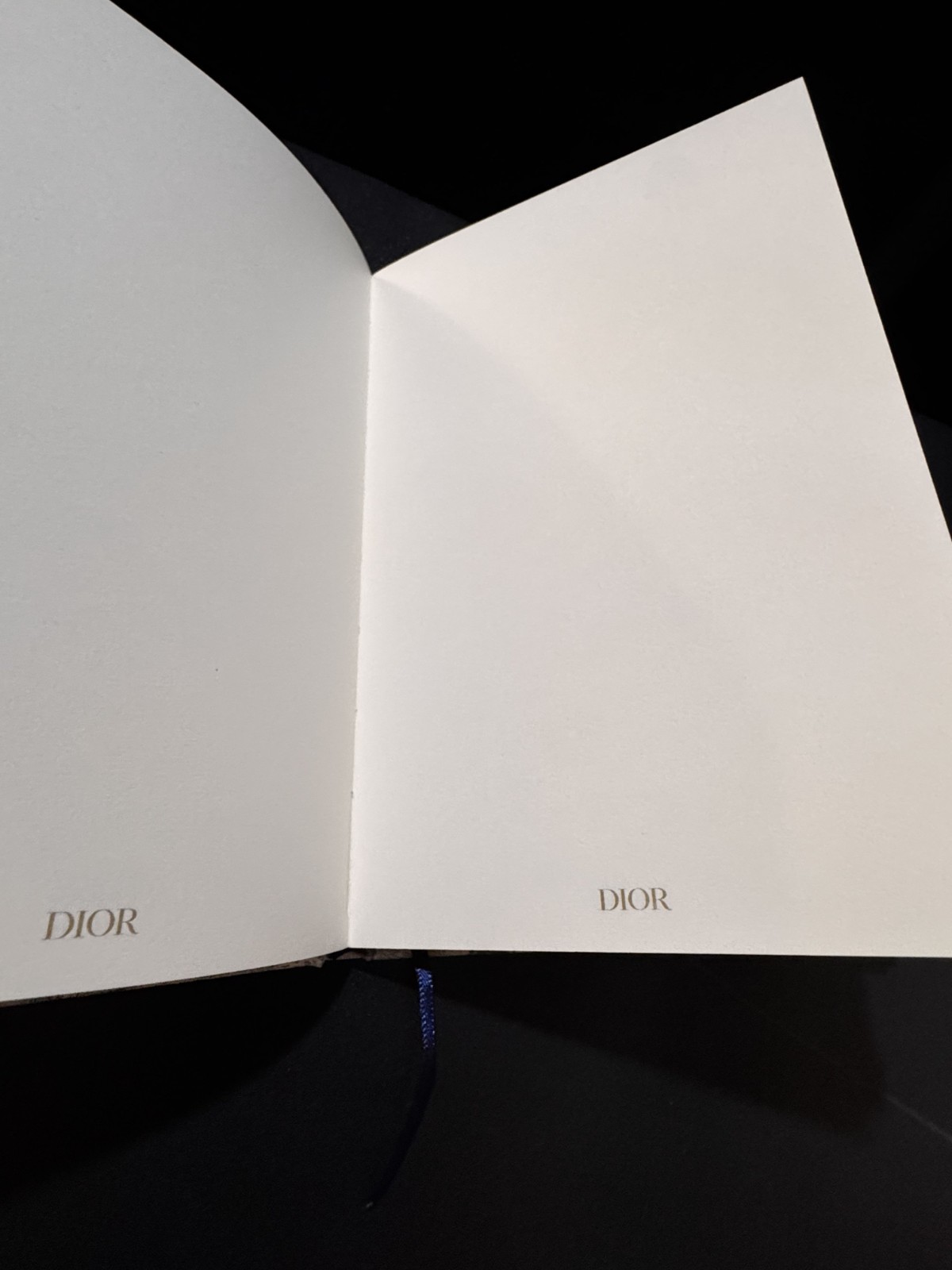 Christian Dior Notebook NEW Journal novelty GWP