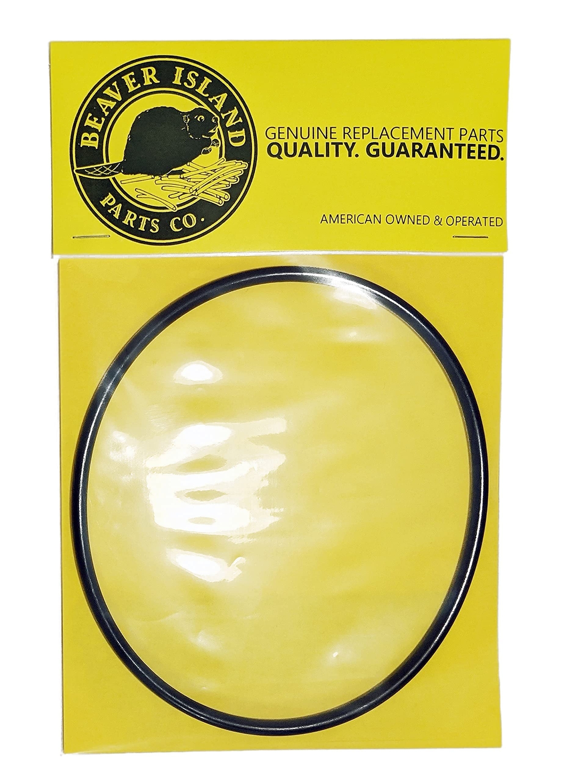 Replacement for Raypak 006721F O-Ring only for Drain Plug