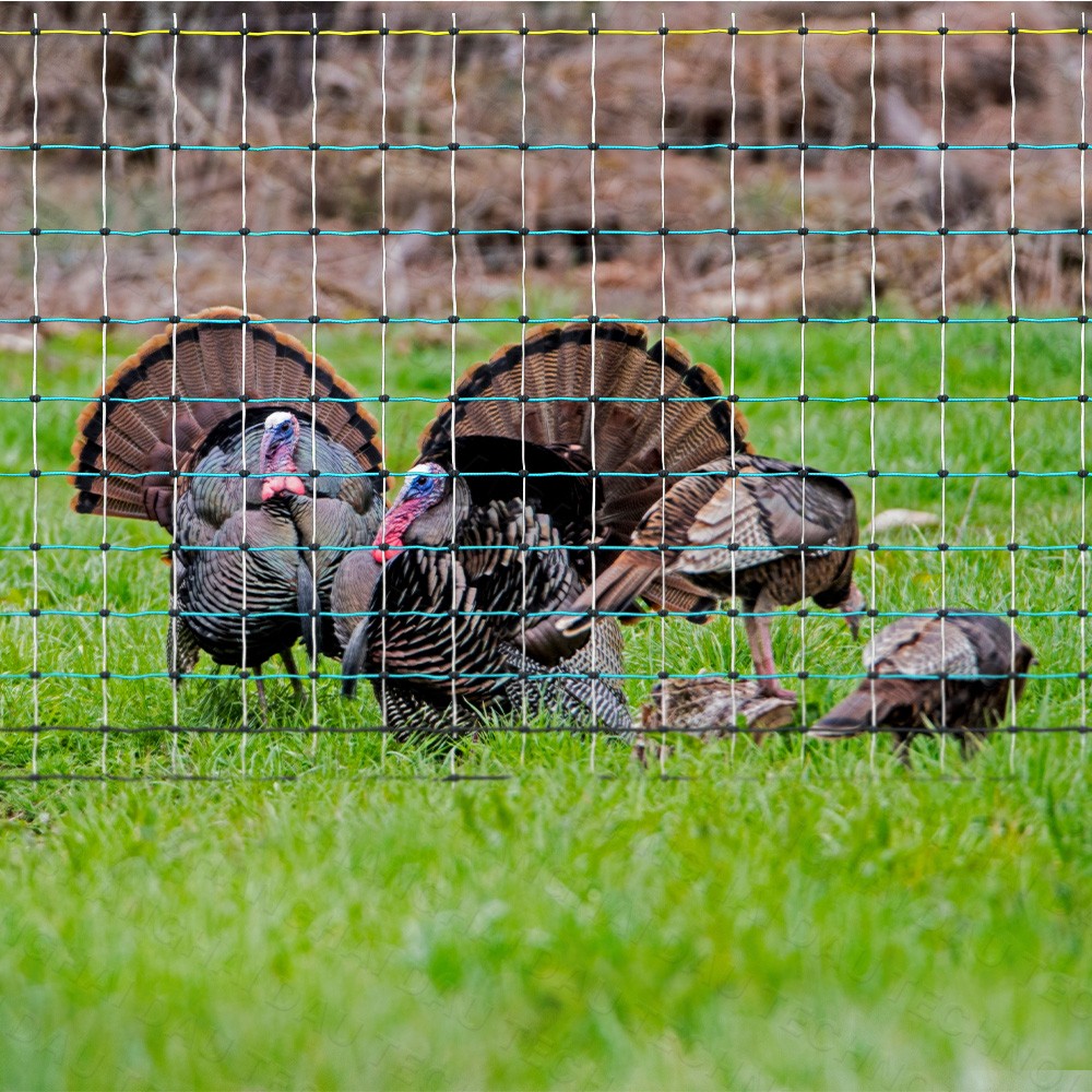 Updated Poultry Netting, Portable Electric Livestock Mesh Fence 47.5″ H x 168′ L