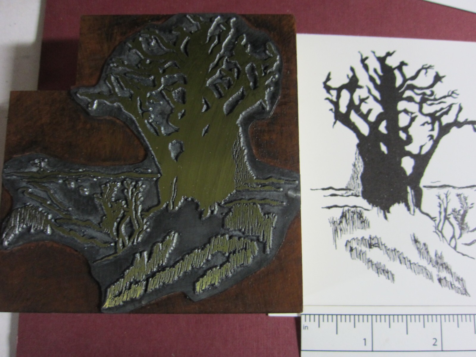 Printing Letterpress Printers Cut Block, Printers Cut «Creepy Tree» Zinc