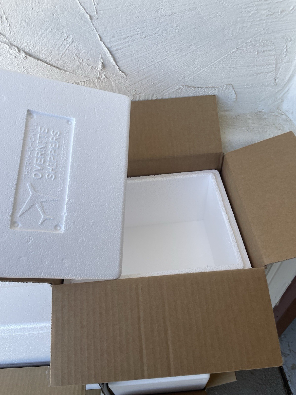 Uline Insulated Foam Shipper Box Cooler Meds Food Taxidermy, Includes Cold Packs