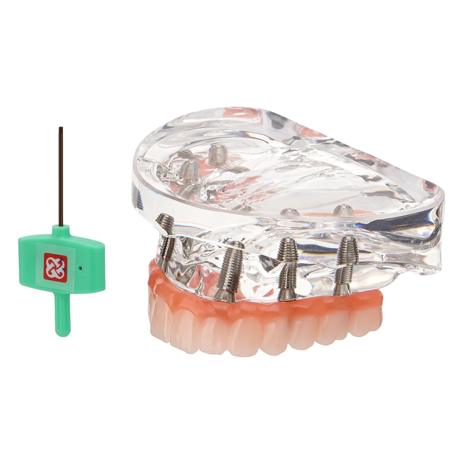 New Dental Implant Model All-on-4 All-on-6 Overdenture U/L Jaw 4/6 Screws Clear