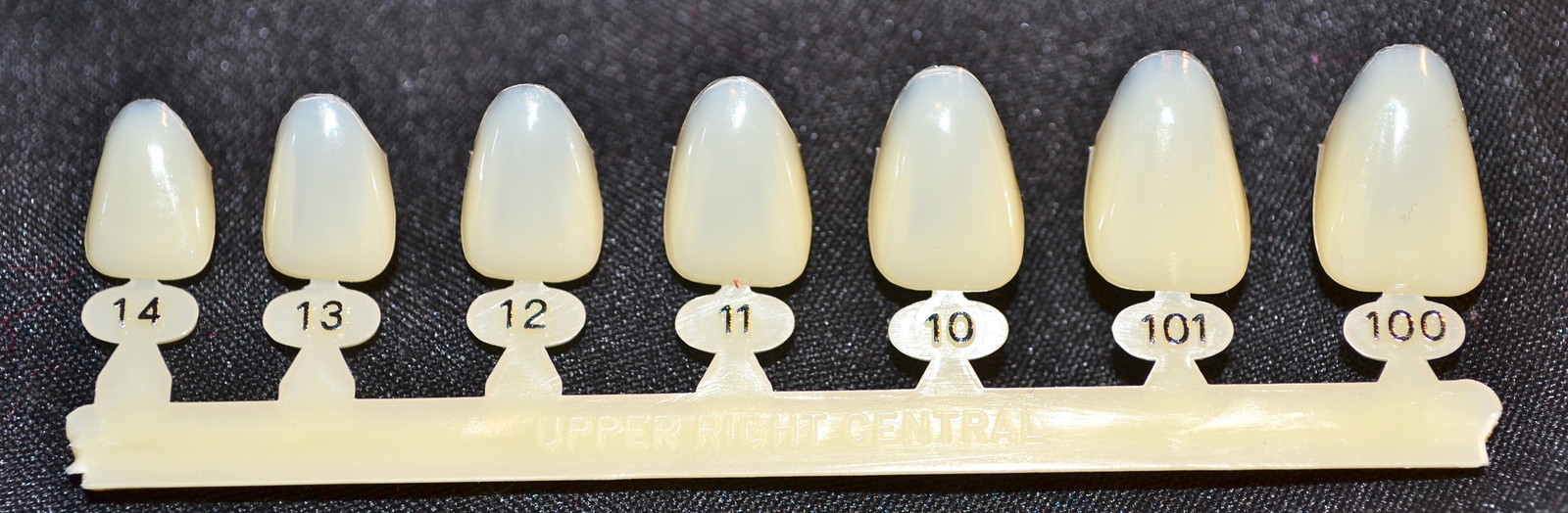 #8 Upper Right Central Anterior – Dental Polycarbonate Temporary Crowns 7 sizes