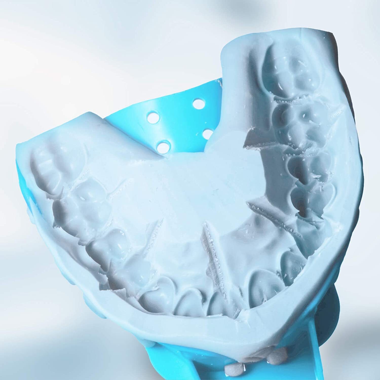 JMU Dental Impression Trays Autoclavable Plastic Perforated Trays Blue