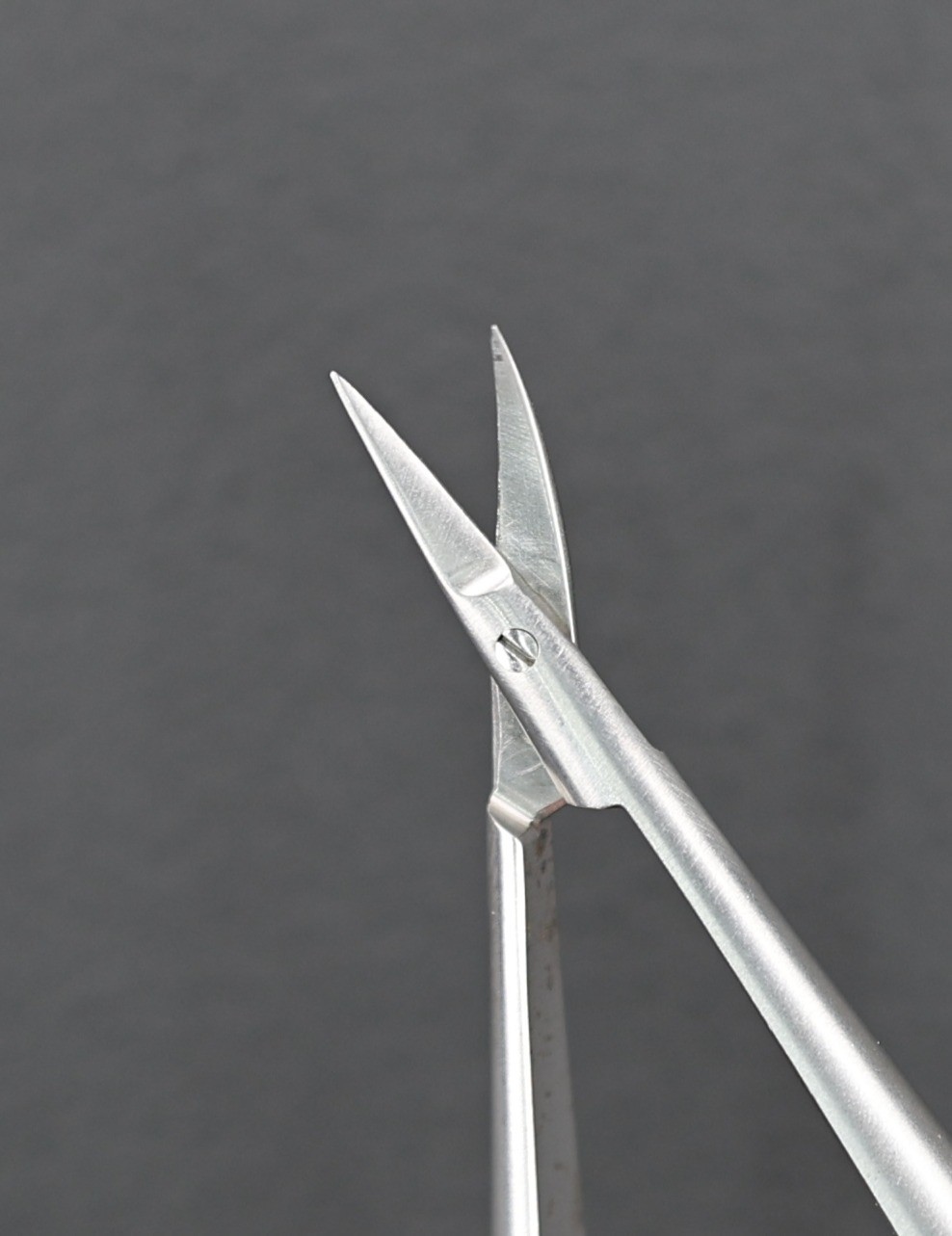 ASSI ASSI.SDC18R8F12 Dissecting Scissors, Delicate, Curved, Sharp/Sharp, 18cm
