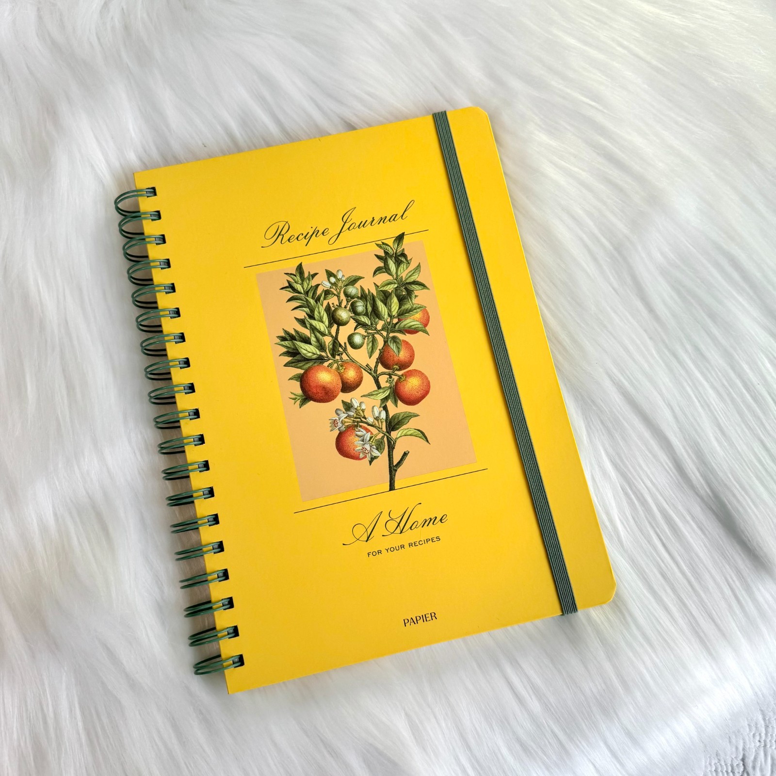 NEW Papier Yellow Recipe Journal Oranges Design Spiral Bound Notebook
