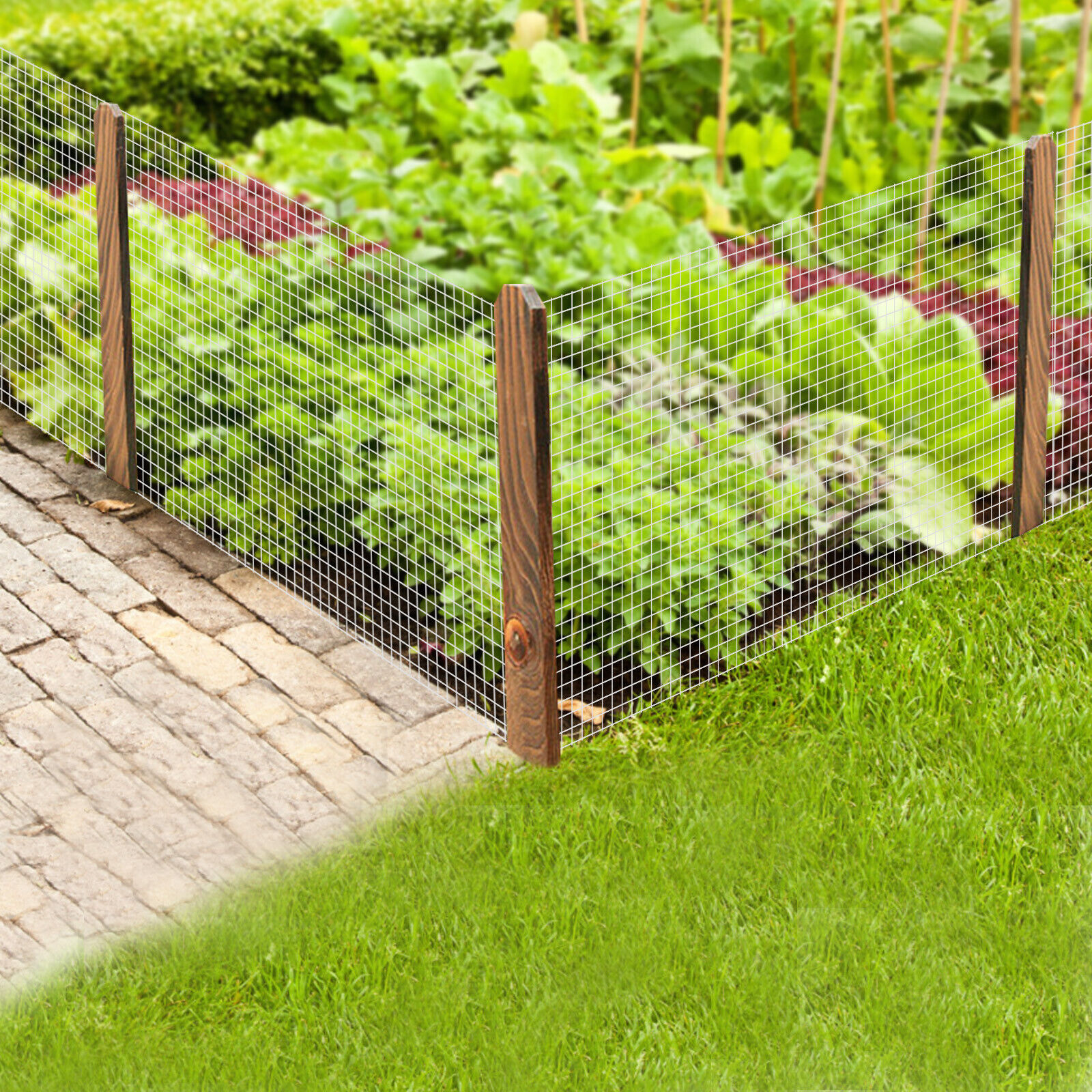 36in x 100ft 1/4 inch Welded Wire Mesh Chicken Wire Poultry Fence Hardware Cloth