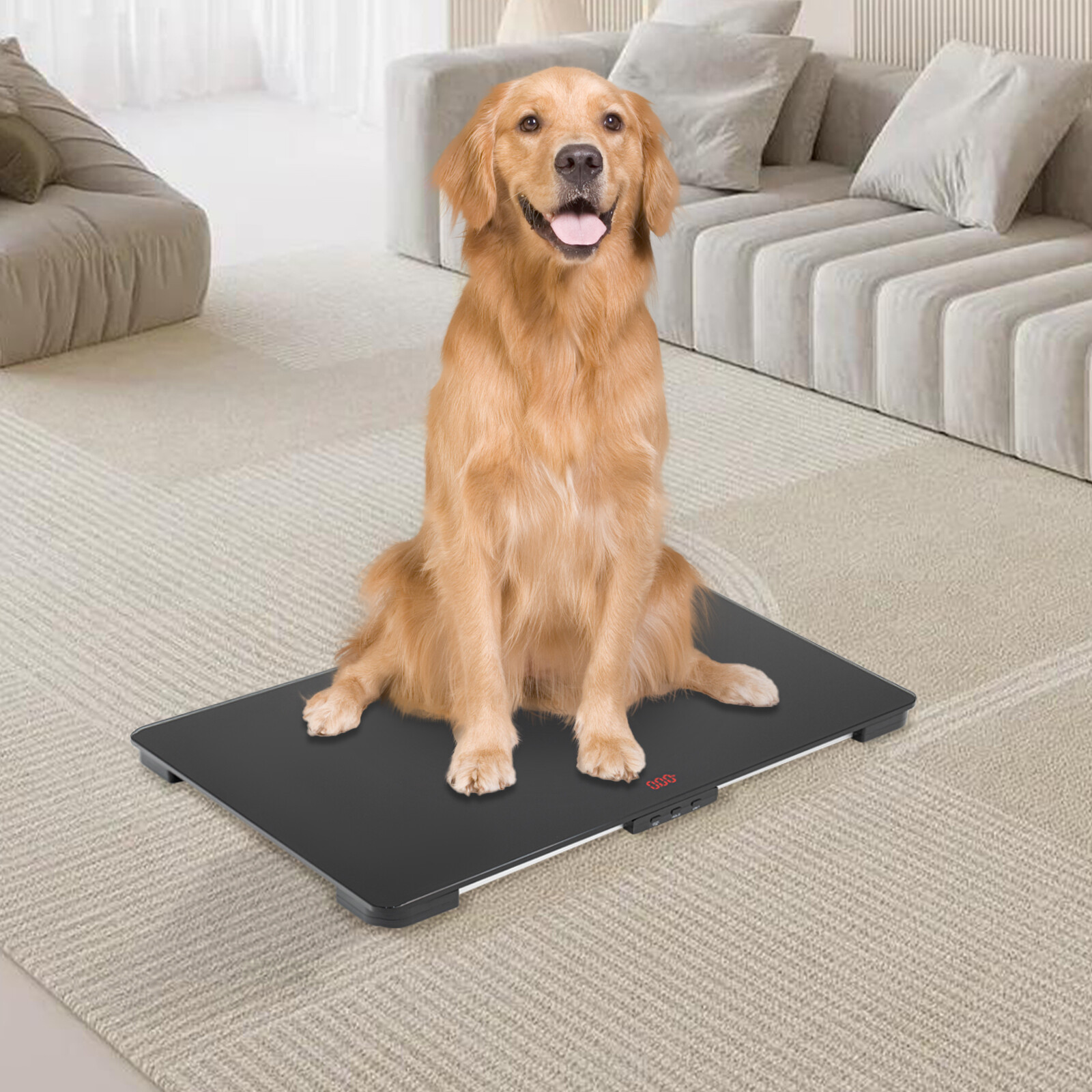 LCD Pet Store Hospital Scale Large Dog Weighing Scale 100KG High Precision Scale