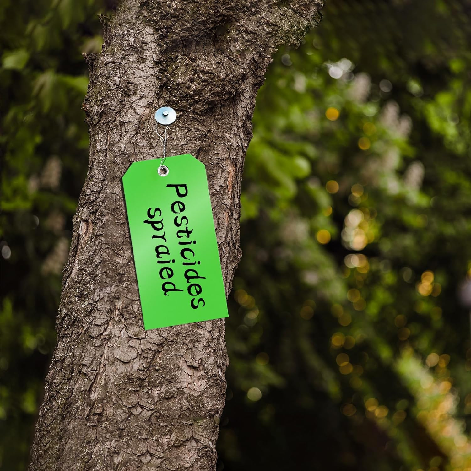 100 Pcs Tags with Wire Shipping Tags with String Write on Stacking Service for E