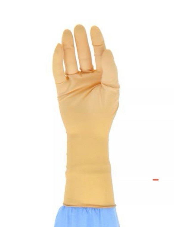 Case of Cardinal Health Protexis Neoprene Surgical Gloves 50 Pairs Size 6.5