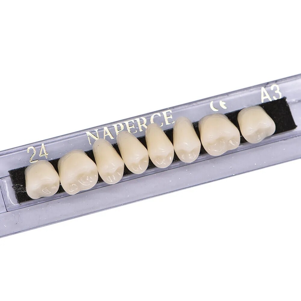 168PCS Acrylic Resin Denture Dental Upper Lower Shade A1 A2 A3 Teeth Set USA
