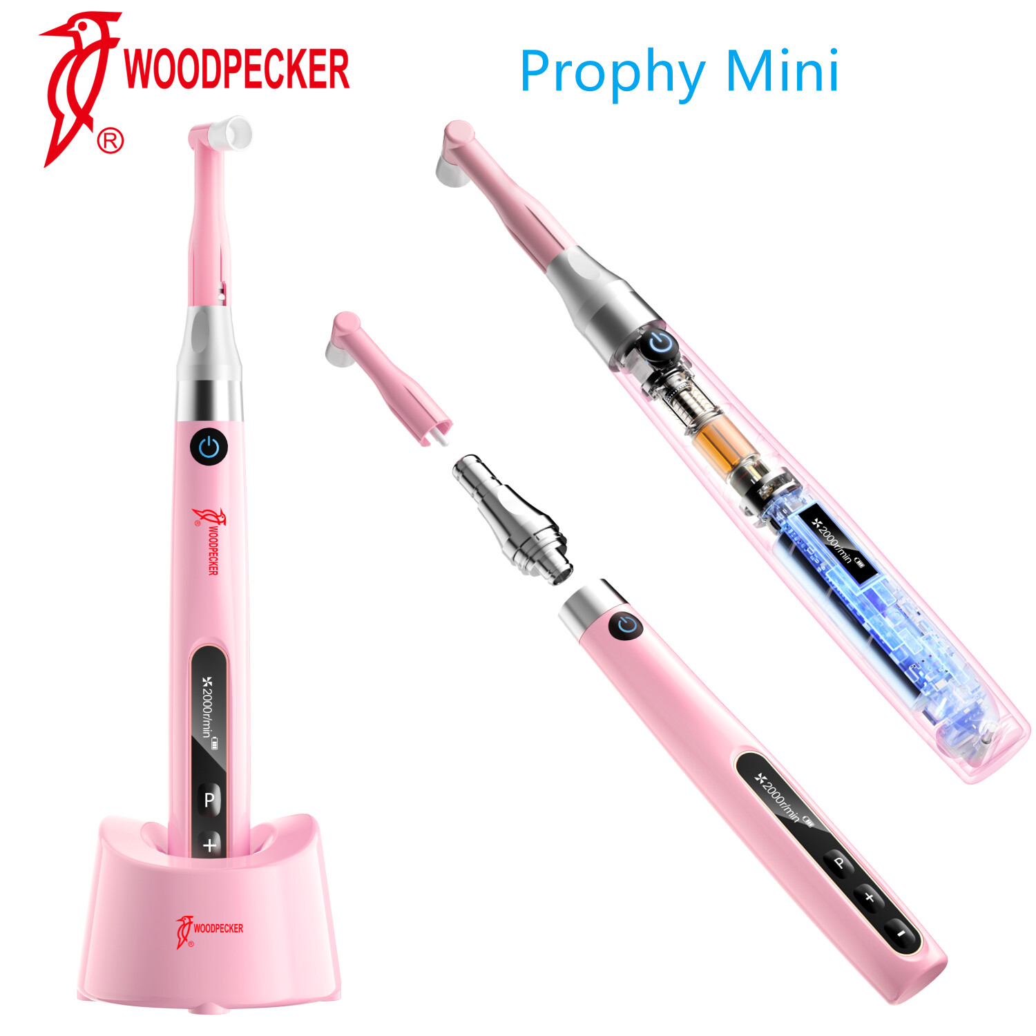 Woodpecker Prophy Mini Dental Cordless Hygiene Handpiece & 100 Prophy Angles 5V