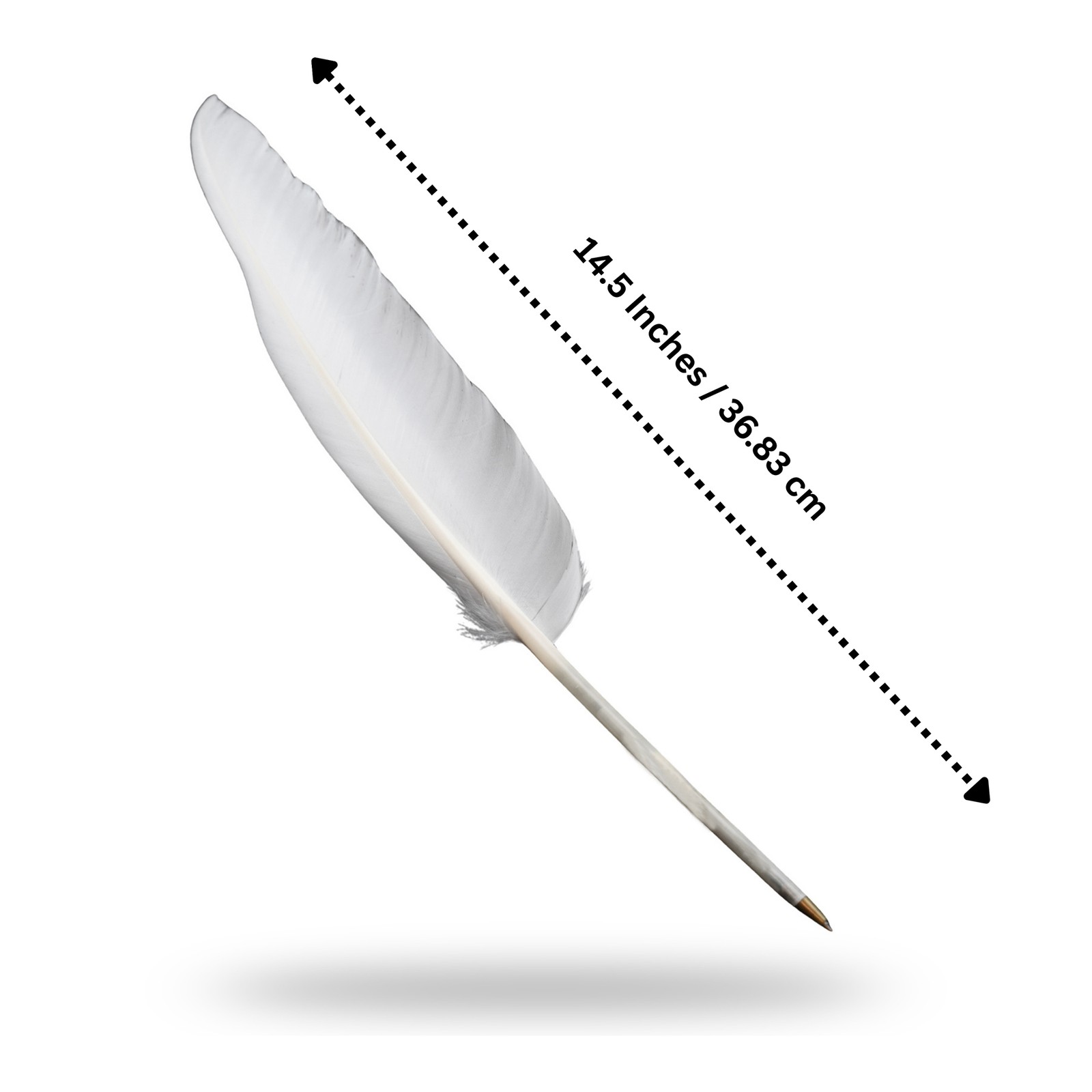 Fancy White Goose Feather Pen Black Ink Ballpoint Wedding, Office, Signing Quill