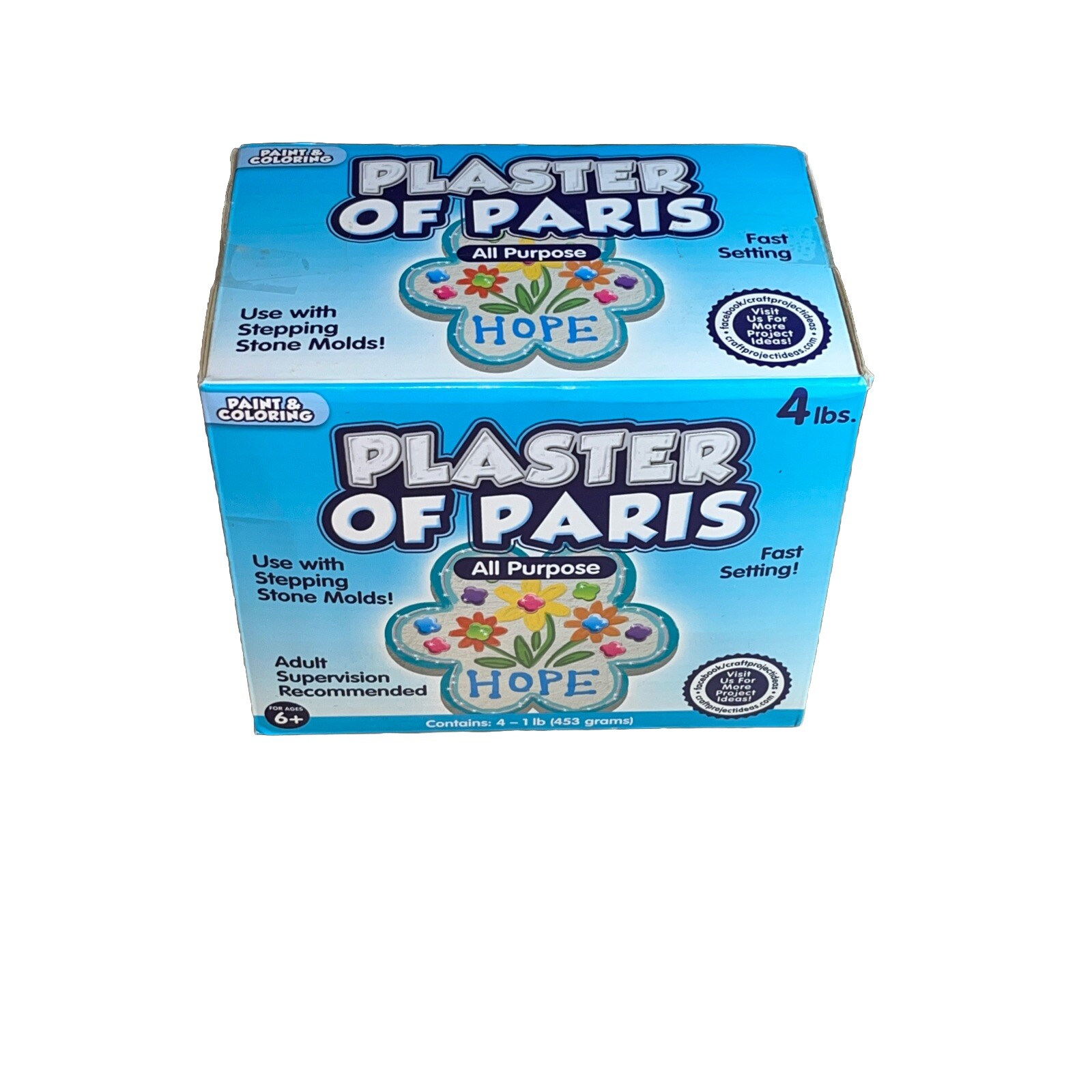 Plaster of Paris, ALL PURPOSE Sets In 20 To 30 Minutes – 4 Lbs Paint & Color