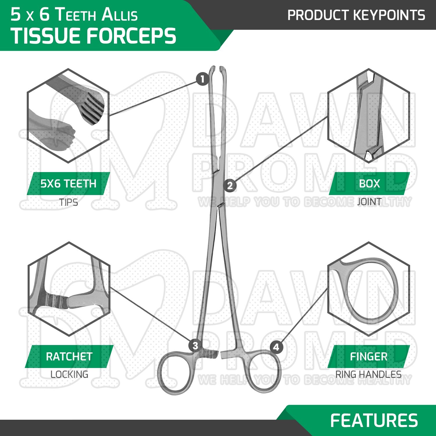 Allis Tissue Forceps 10″ 5 X 6 Teeth Surgical Clamp OB/GYN Instruments German Gr