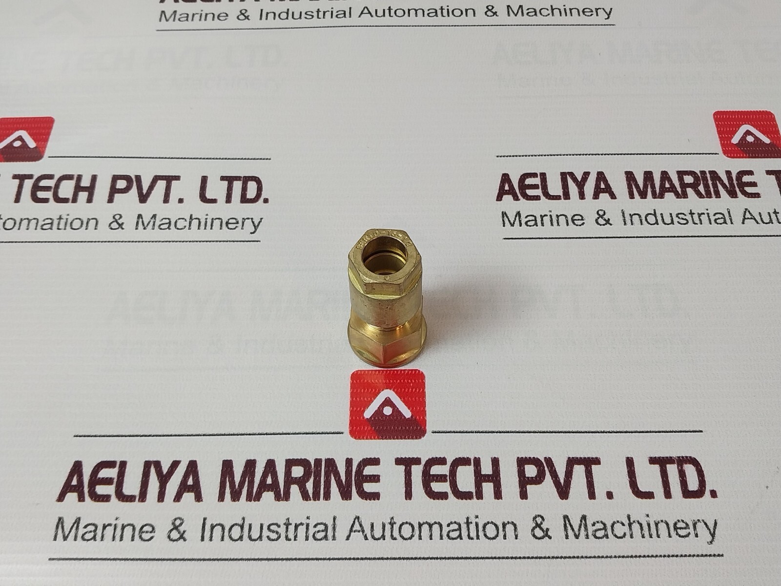 Serto 15-1/2 Female Adaptor Union 1/2″-15 MM