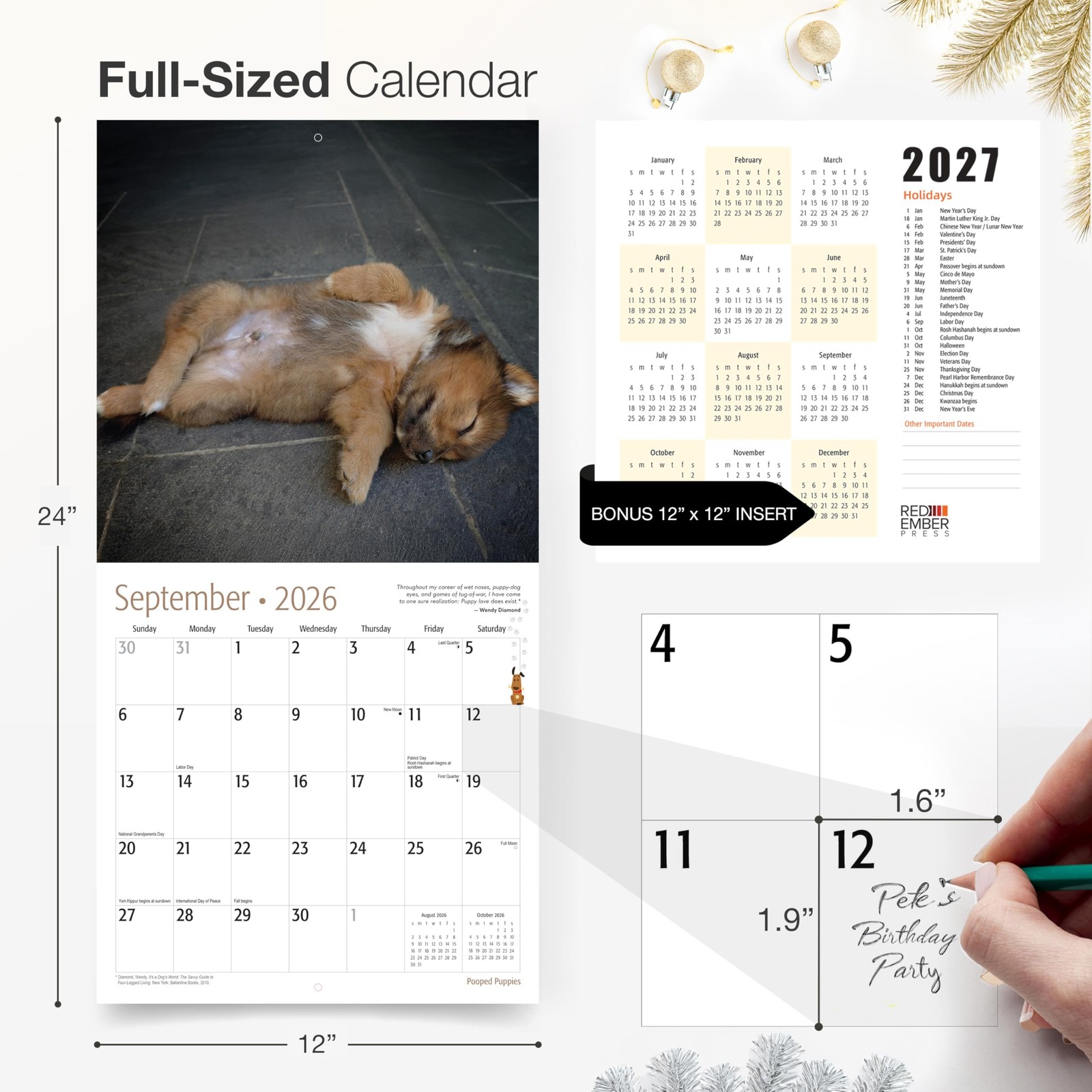 RED EMBER Pooped Puppies 2026 Wall Calendar 12 New 2026, 03
