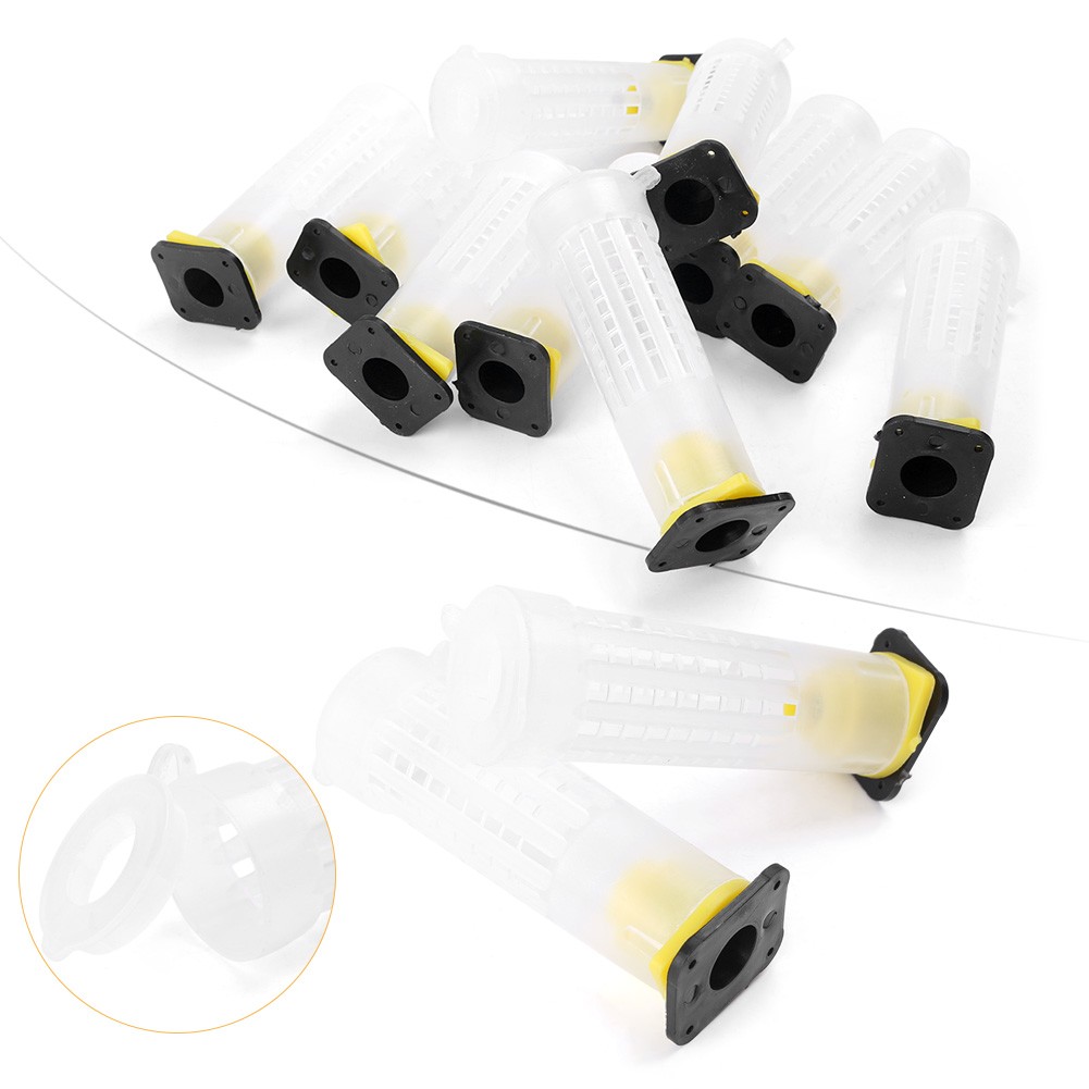 Beekeeping Rearing Cup Kit Queen Bee Cages Beekeeper Equipment Tools ff 10 PCS