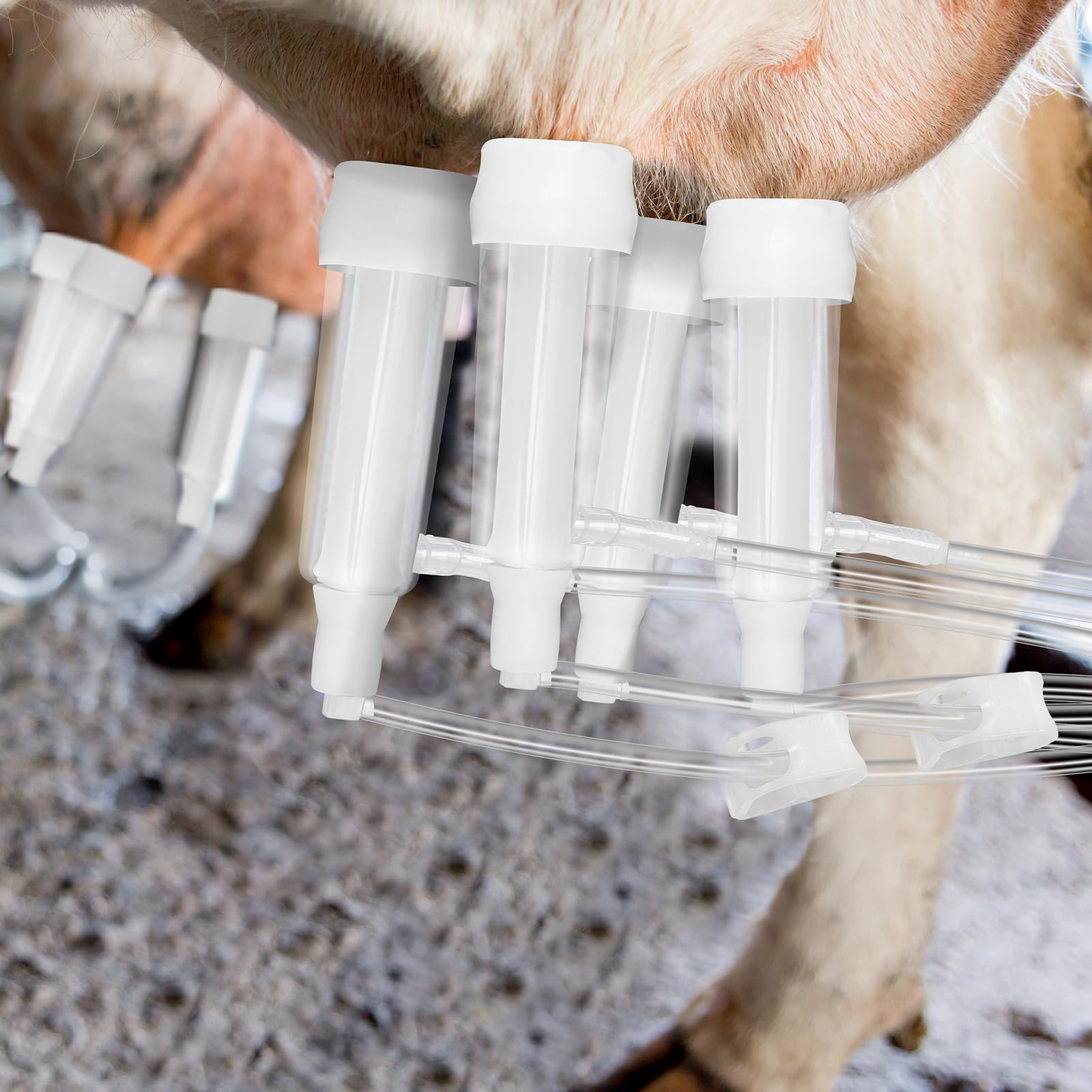 Milking Machine Accessory Goat Teat Cup, Double Cup with Tube for Goat, Sheep…