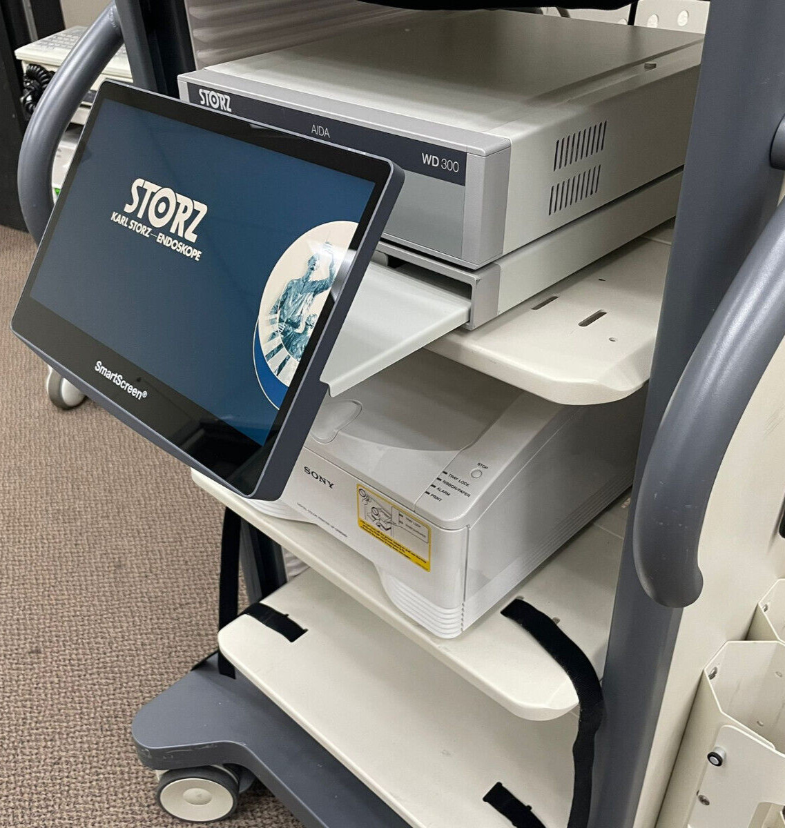 Karl Storz WD300 4K AIDA Image Capture & WM200 Smart Screen w/ UP-DR80MD Printer