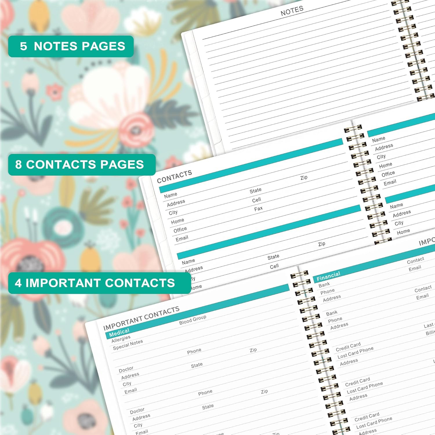 2025 Monthly Planner – Monthly Planner 2025 from Jan.2025 to Dec.2025, 2025 Plan