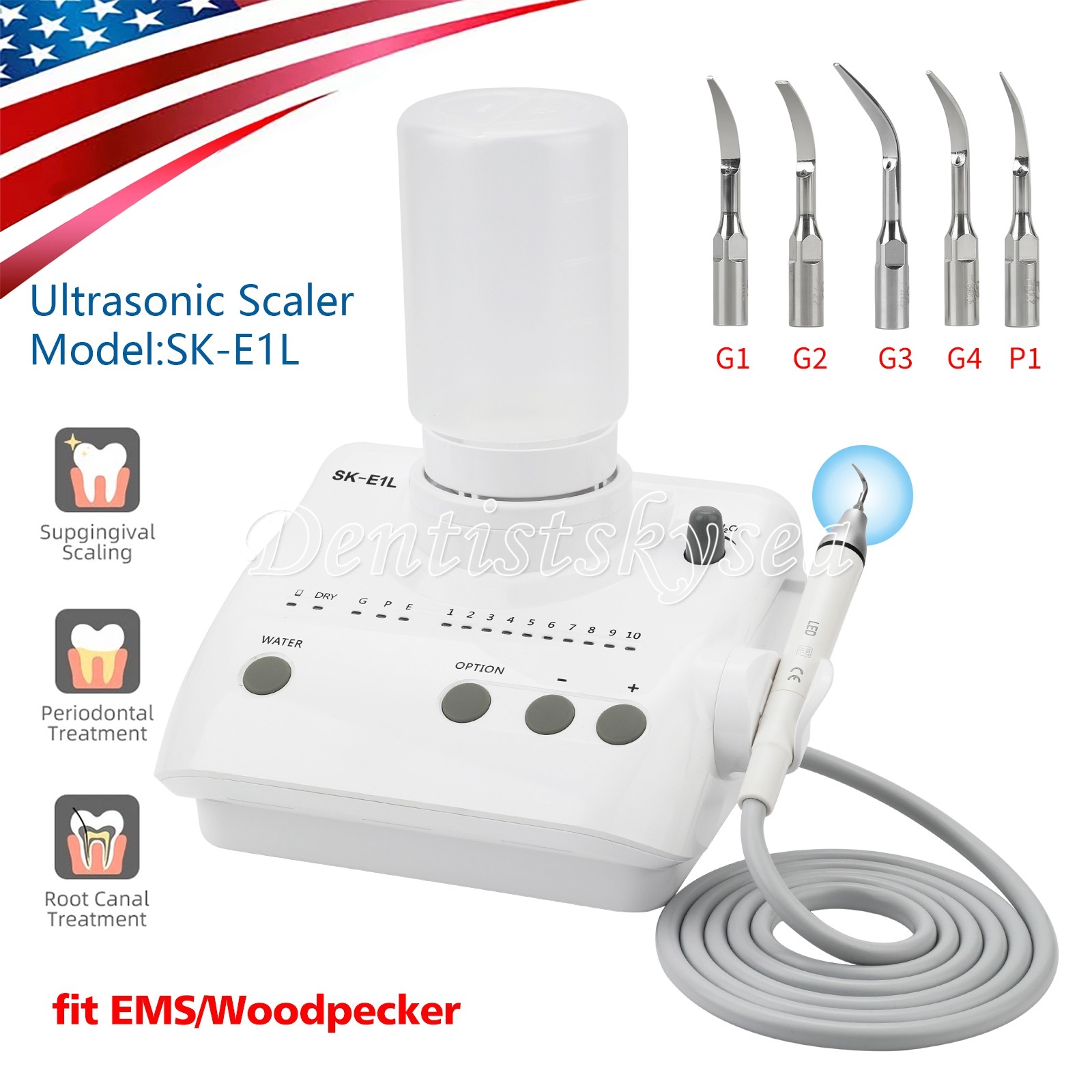 LED Ultrasonic Dental Scaler Household Pet Cleaning Set 2* Bottle and 5*tips