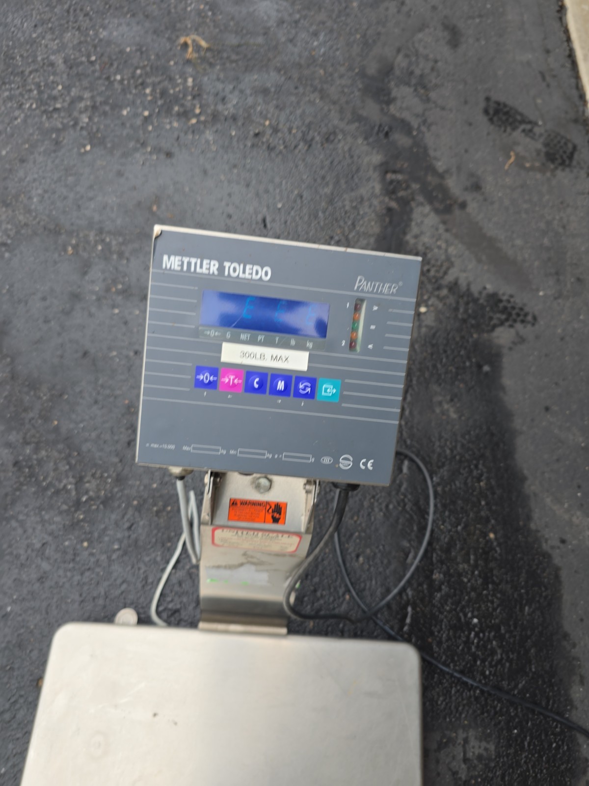 Mettler Toledo Panther PTPN 1000 Terminal w/ GB150P000 150kg/300lb 20″x16″ Scale