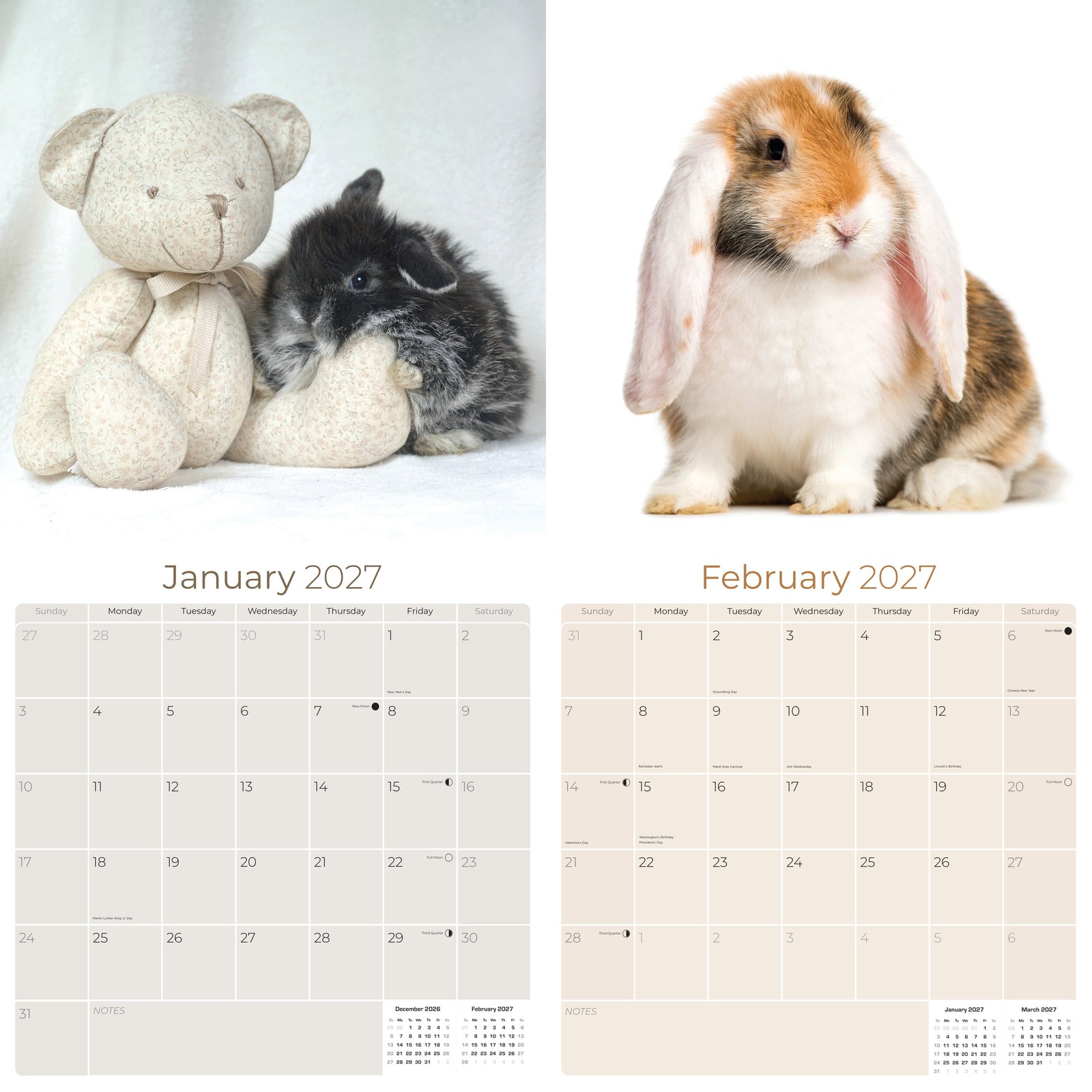 Lop Eared Rabbits Calendar 2024 FULL SIZE 12×24 Made in USA
