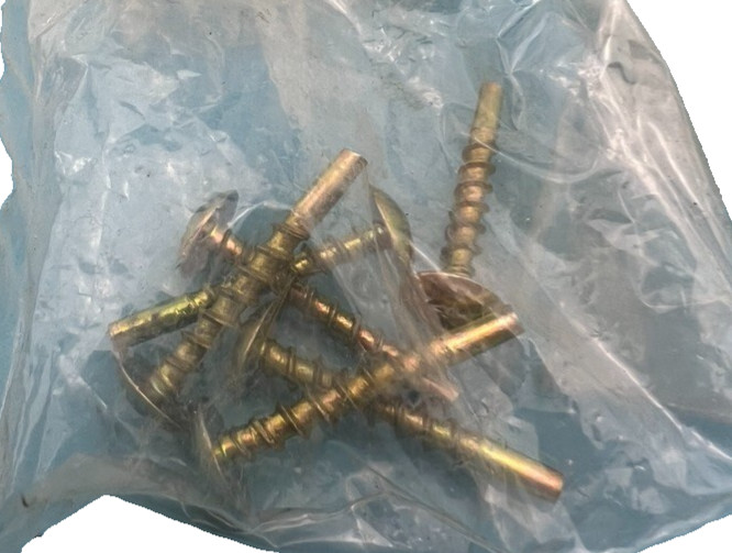 FPE Federal Pacific Electric Door Panel Screw (One Screw) *NEW