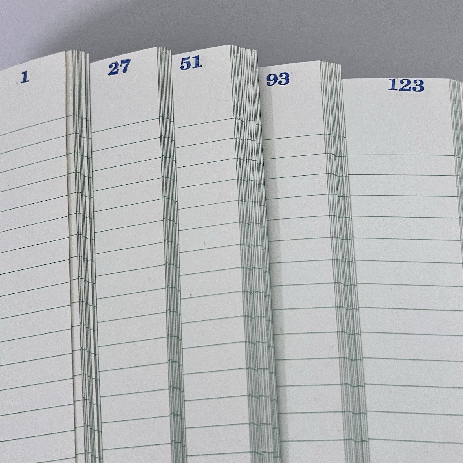 Vintage National Blank Book Company Record Account Ledger Book 300 Pages