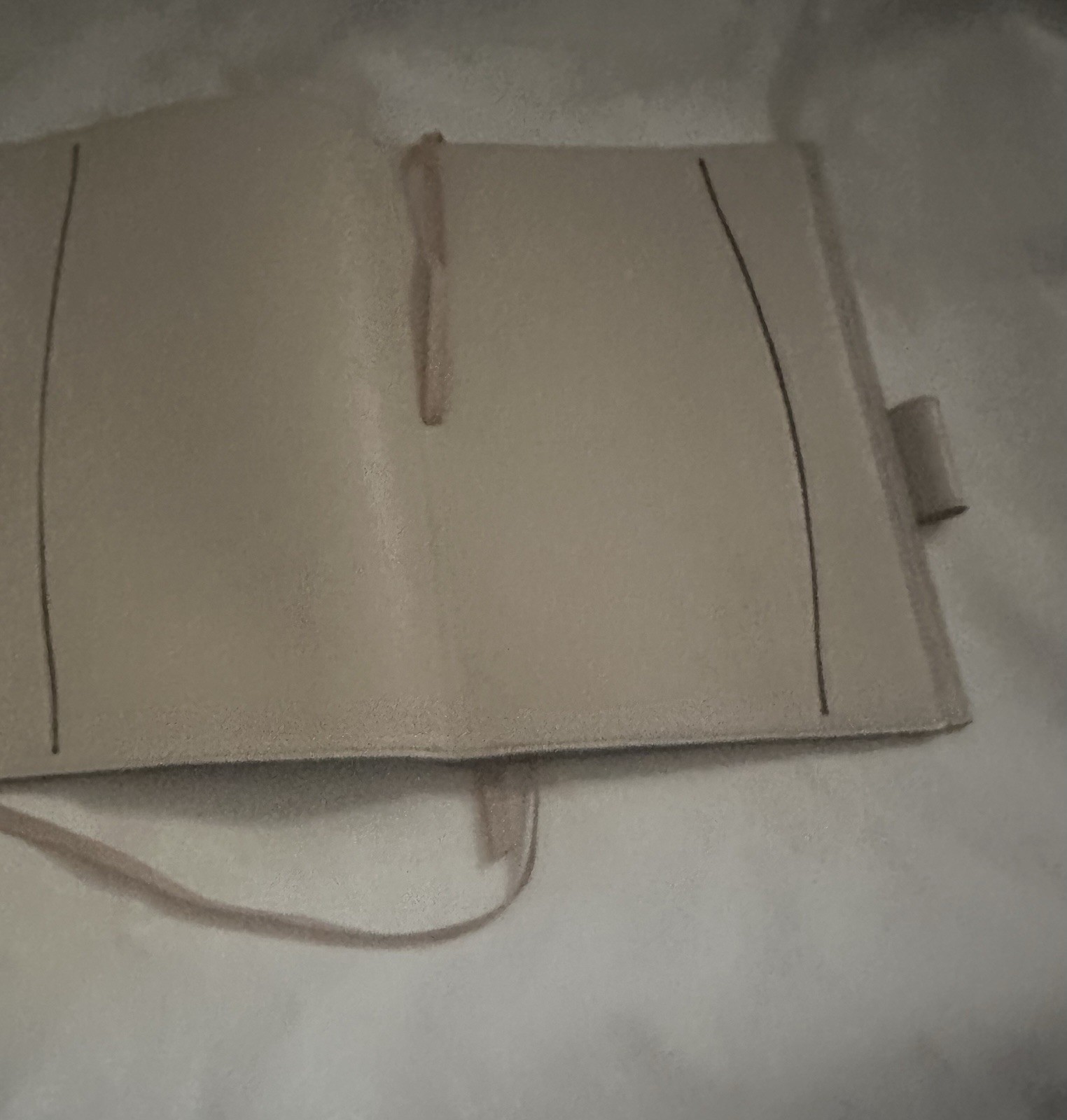 Anya Hindmarch London Beige leather journal