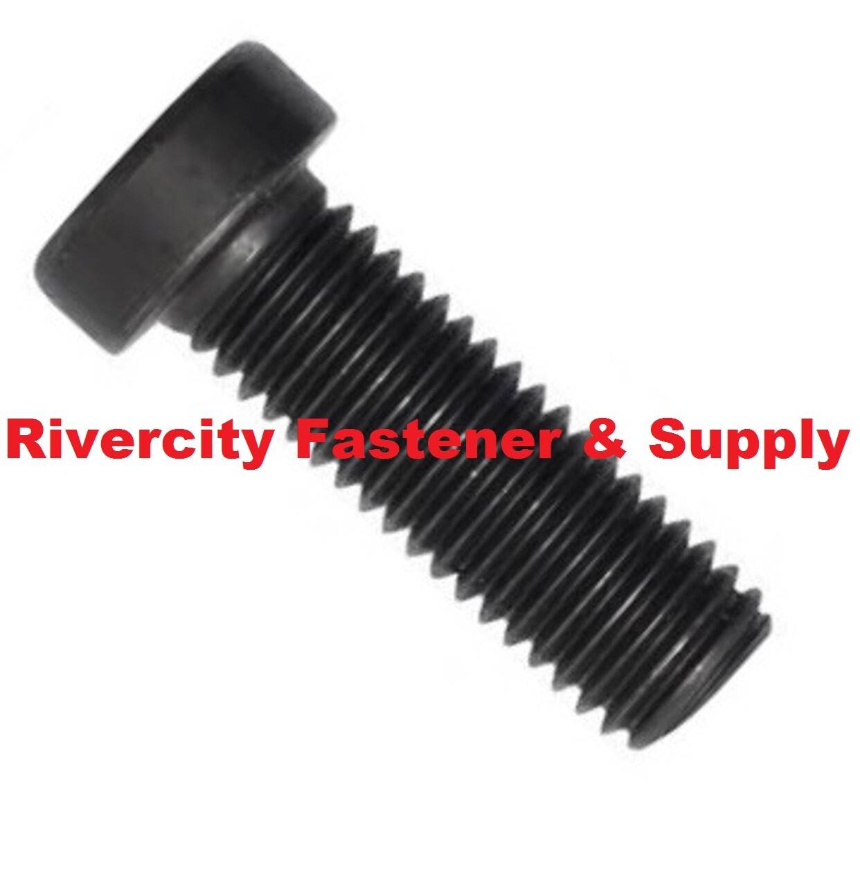 1/4-20 x 3/4 Low Head Socket Allen Cap Screws 1/4×20 x .75 Bolts 1/4-20×3/4″