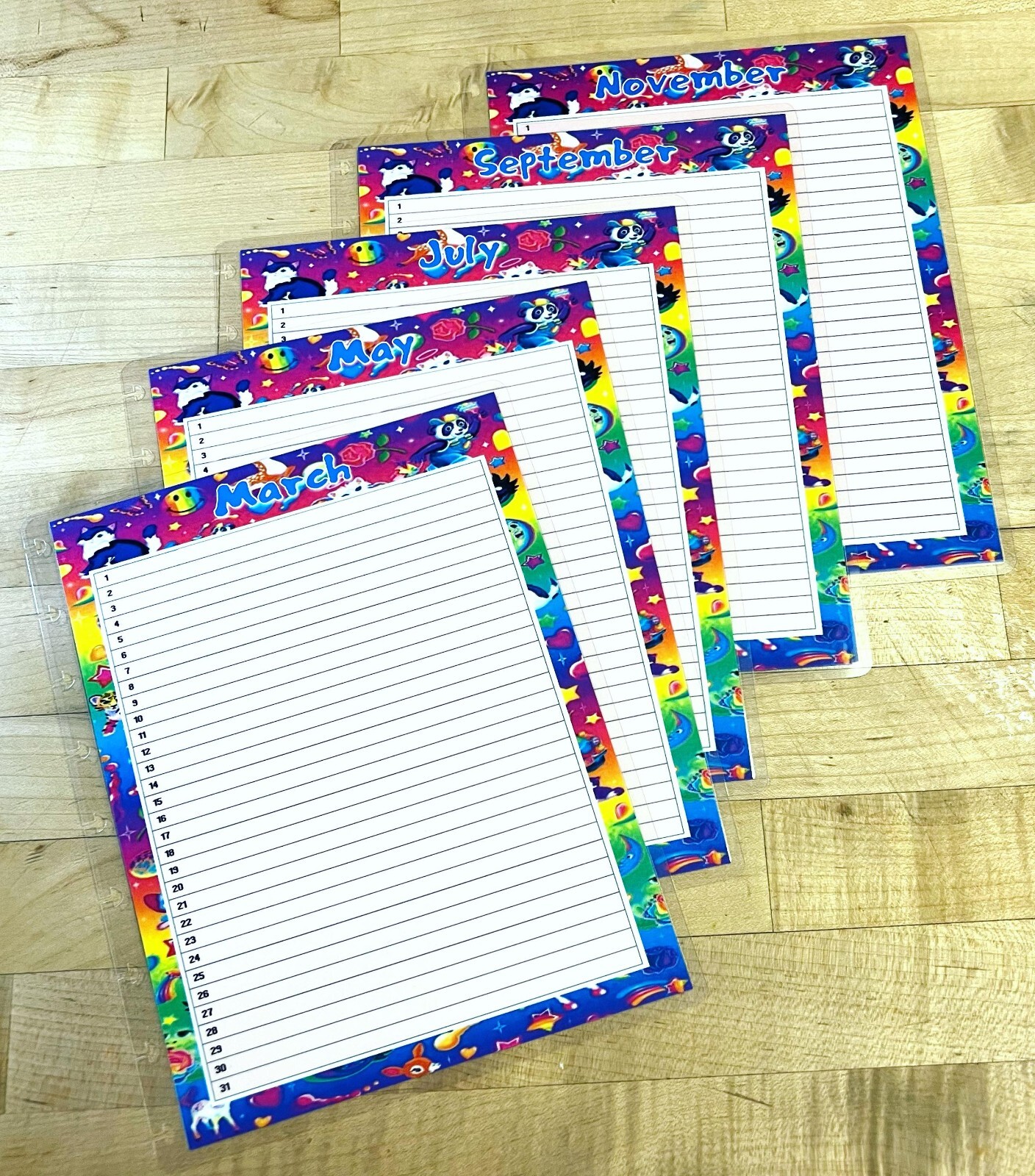 Set of 6 (Six) Month at a Glance Dashboard Inserts for use with Happy Planner-