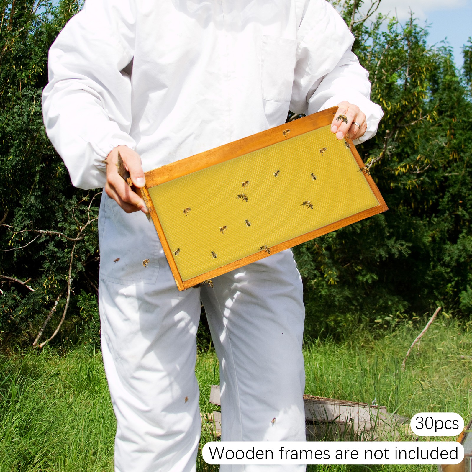 30Pcs 7.7*16.3″ Honeycomb Wax Frames Beekeeping Foundation Honey Bee Hive Tool.