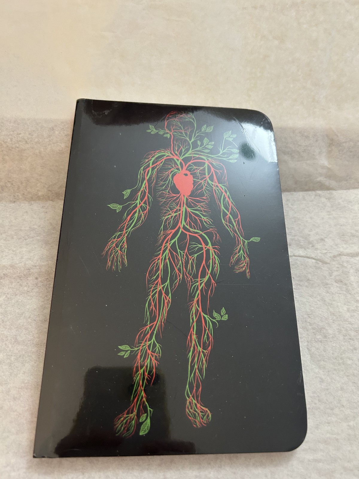 Anatomy Circulatory System Cover blank book journal, note book, copy book