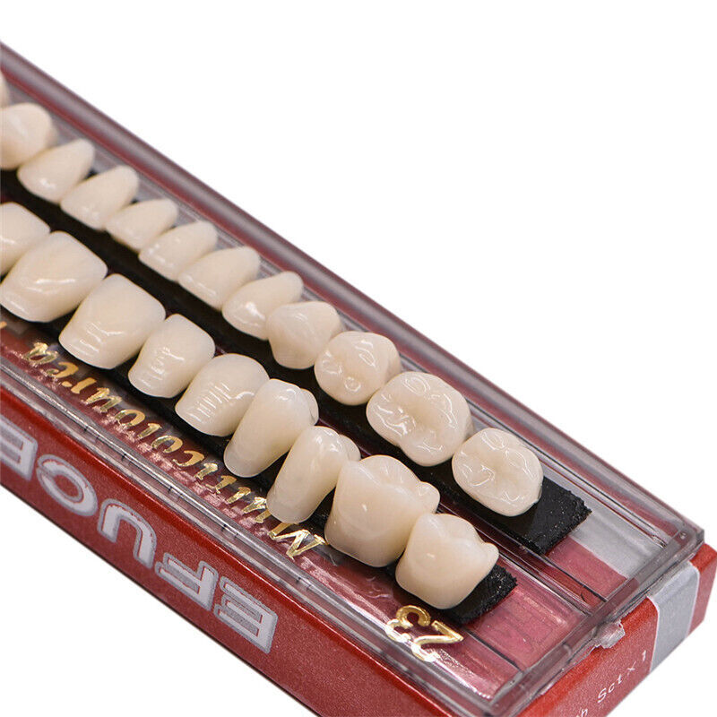 28pcs/set Dental Acrylic Resin Teeth Shade A2 A3 Full Set Denture Upper Lower