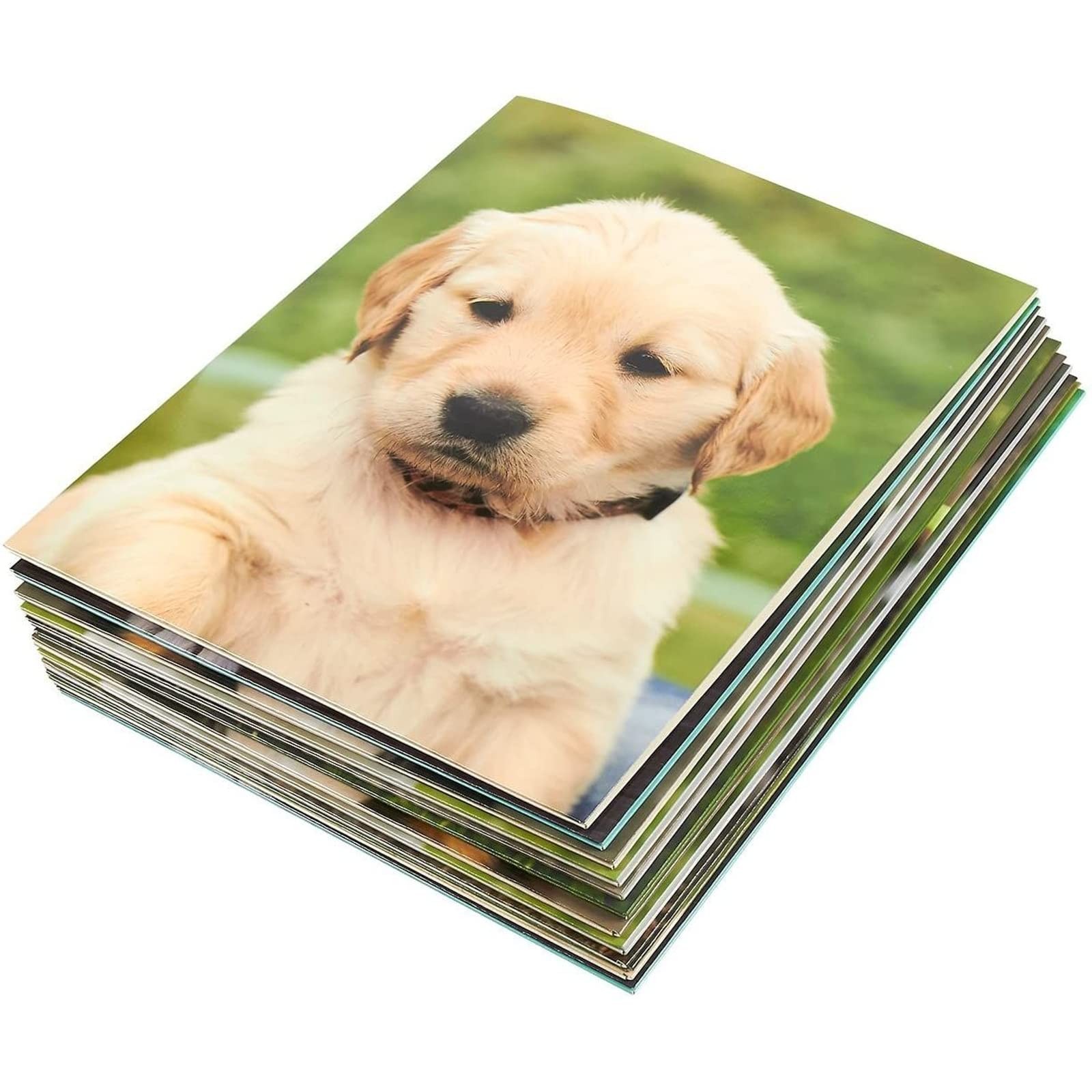BLUE PANDA 12 Pack Dogs Pocket File Folders, Decorative Puppy Designs for Kids,