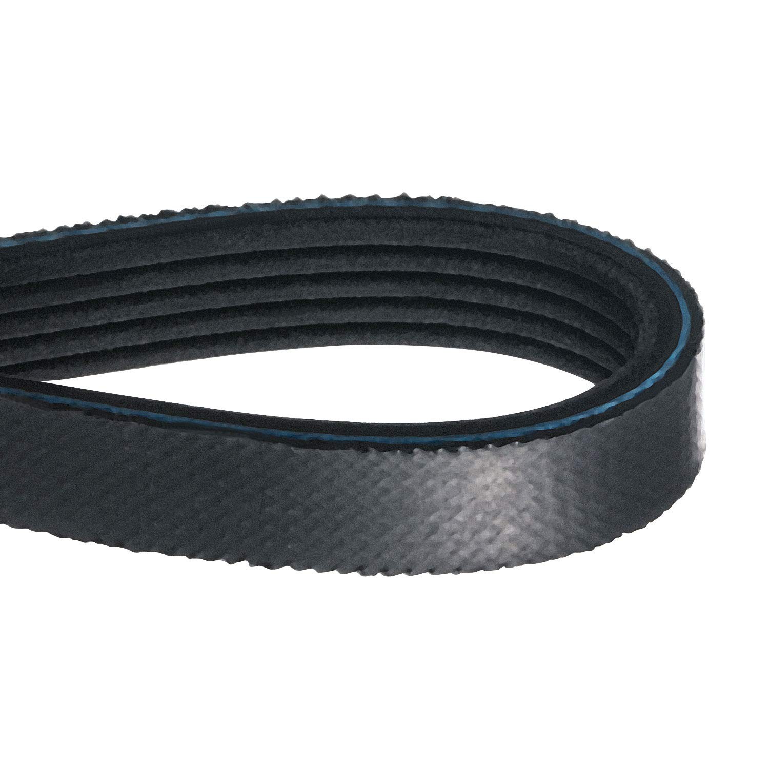 WE12M29 Dryer Drum Belt Compatible with 89.5 inches x 0.58 cm, Black