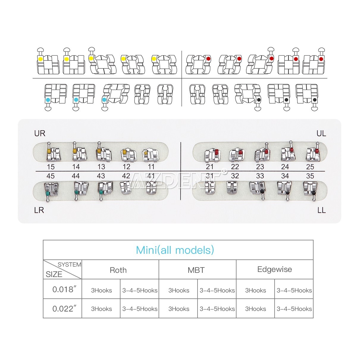 AZDENT Dental Orthodontic Brackets/Niti Arch Wire Round/Rectangular Ovoid/Nature
