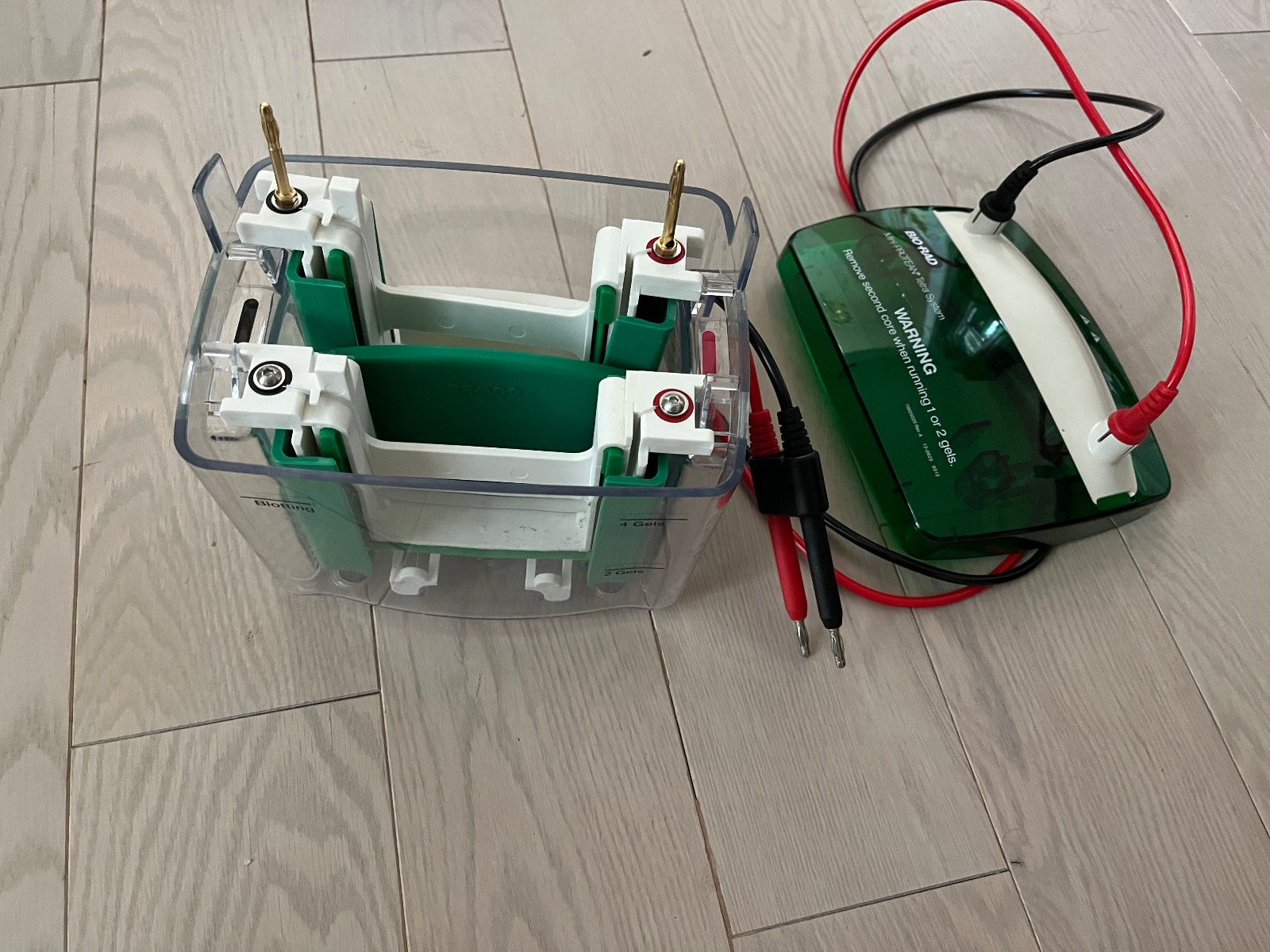 BioRad Mini-PROTEAN Tetra Cell lid with power cable cartridge electrode