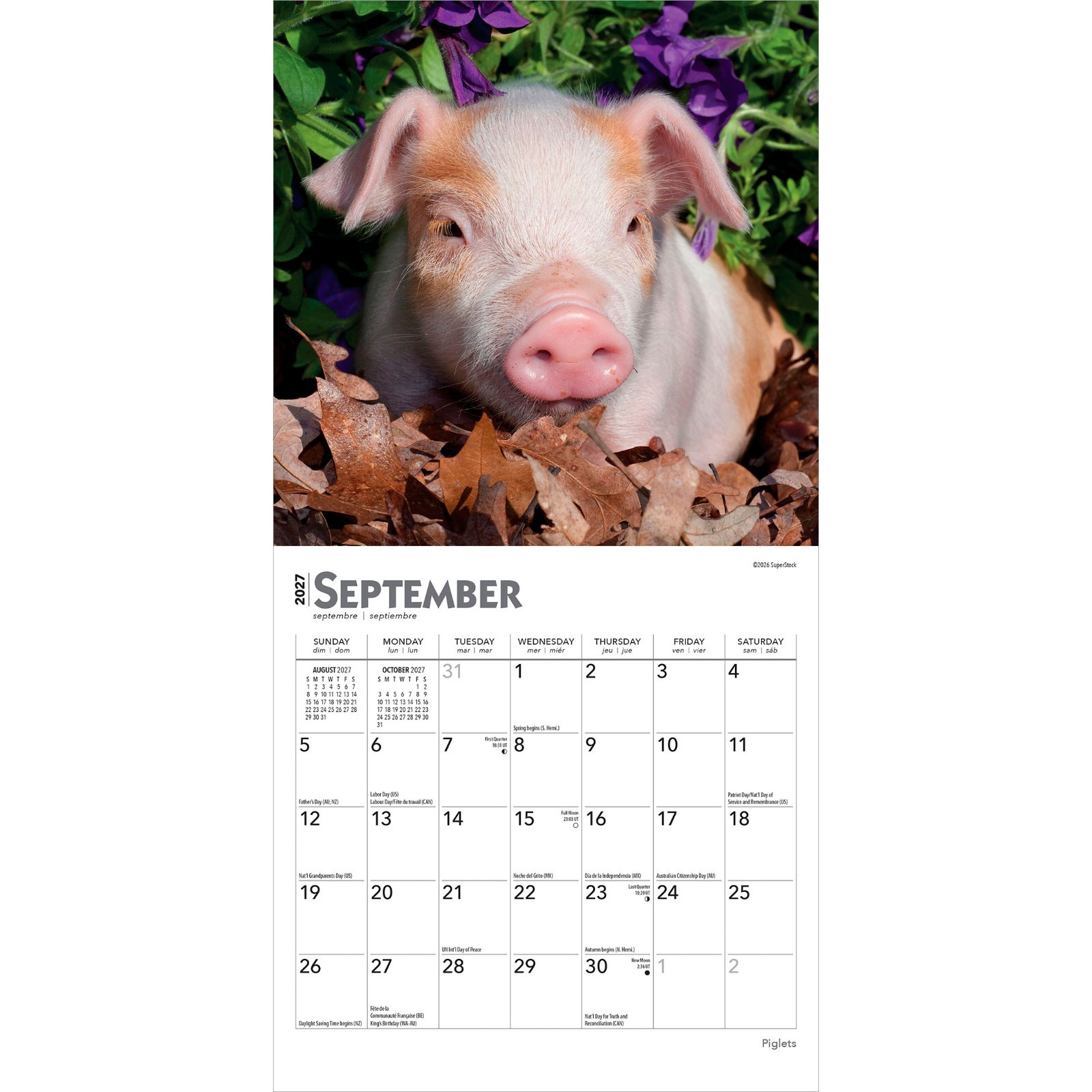Piglets | 2027 7×14″ (Hanging) Monthly Mini Wall Calendar
