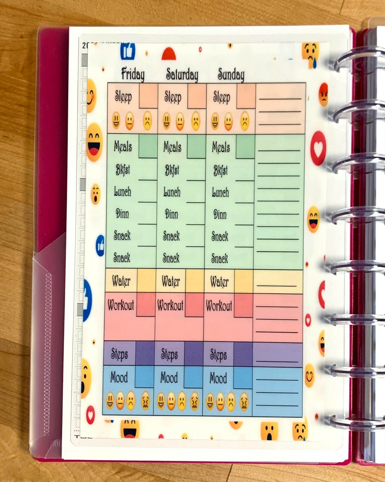 Daily Tracker DASHBOARD Insert FOR USE with the TUL/Arc (8 disc) Planner