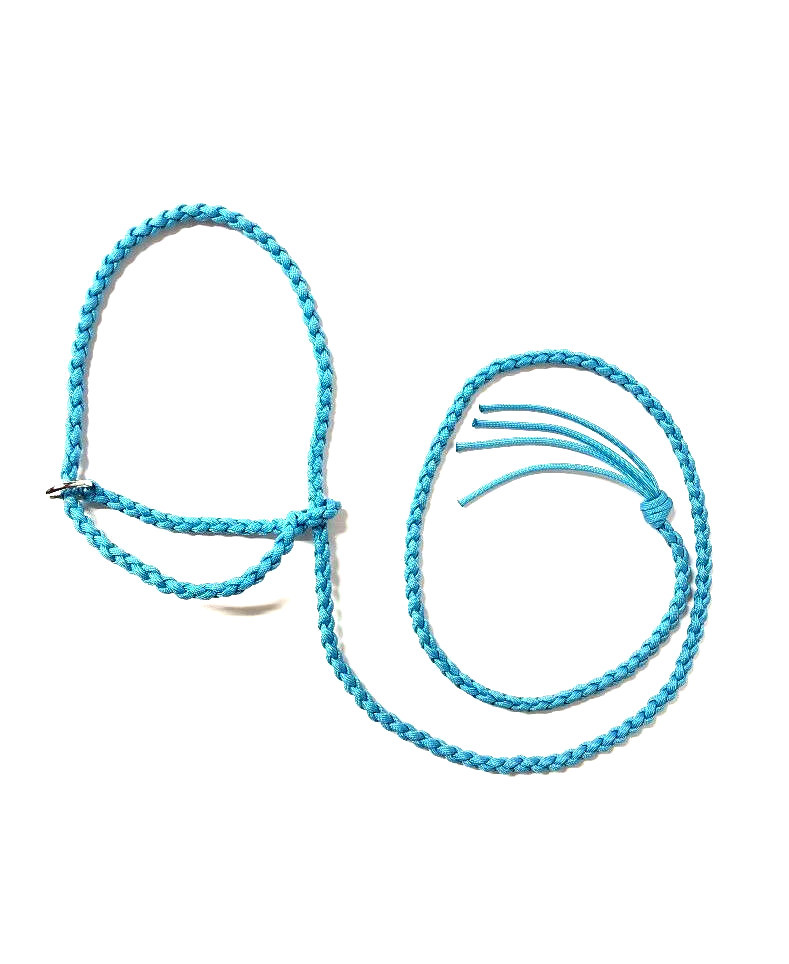 small livestock halter goat sheep alpaca, neon turquoise