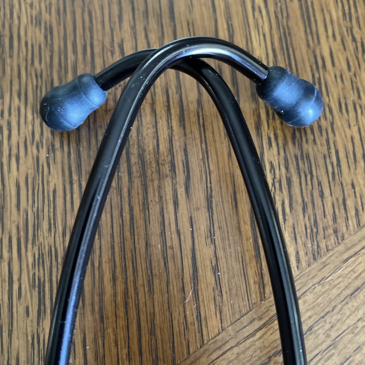3M Master Cardiology Stethoscope, Stainless Steel with Black-Finish Chestpiece!
