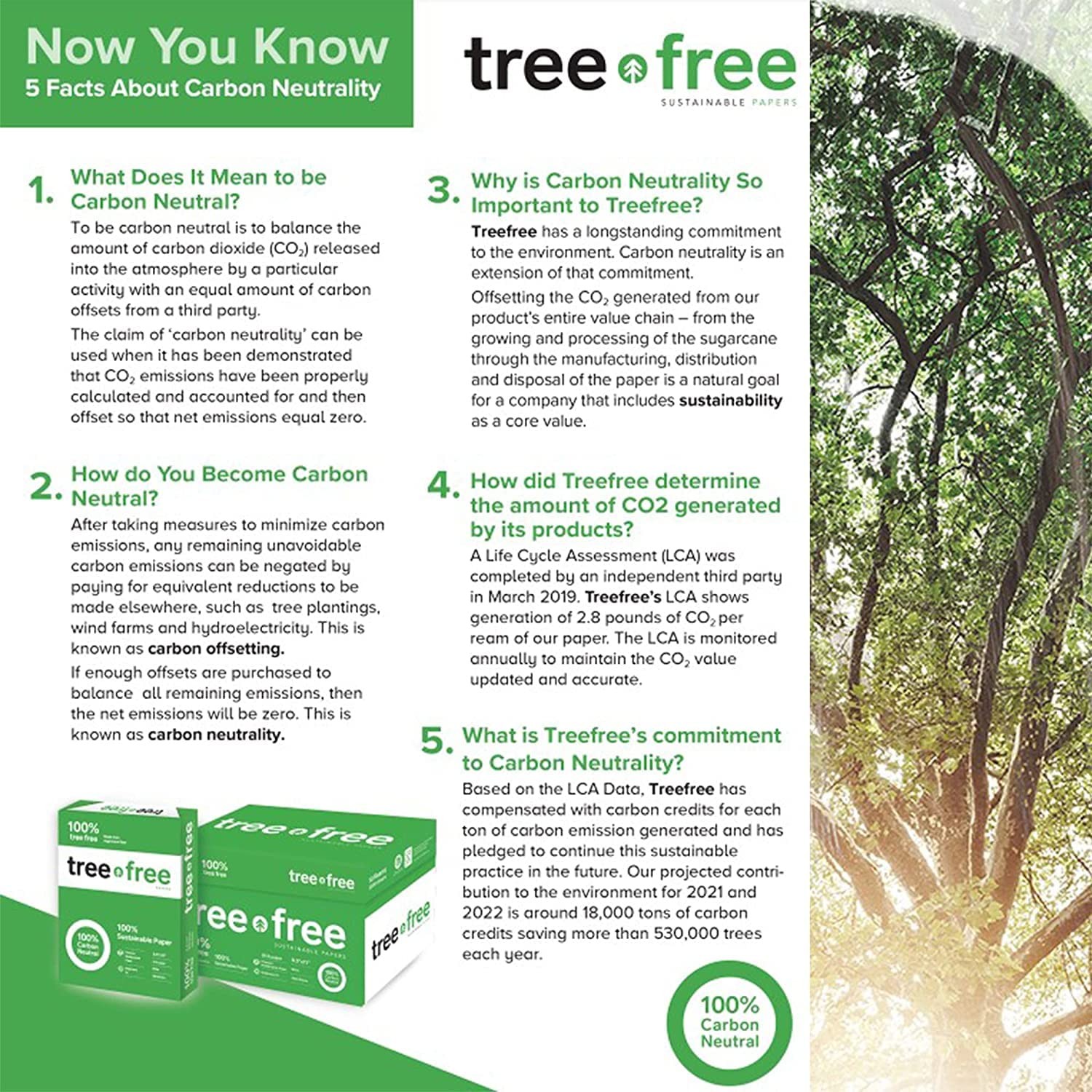 Tree Free Sustainable Papers Tree Copy Paper 8.5 X 11 92 Bright 20 Lb. Made